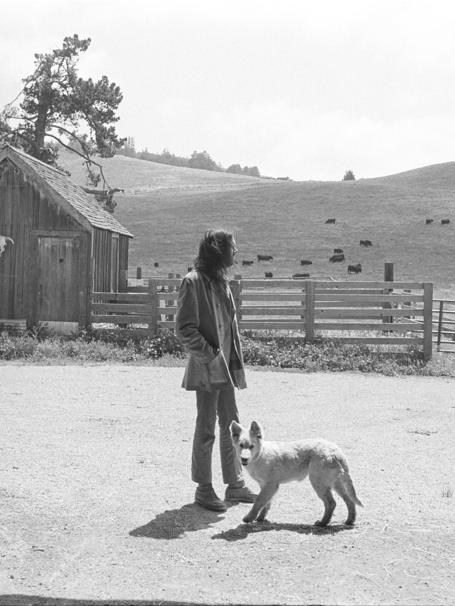 50-vuotias Harvest on laulunkirjoittamisen mestarikurssi – Neil Young laajensi klassikkoalbuminsa juhlapainosta dokumentilla ja konserttielokuvalla