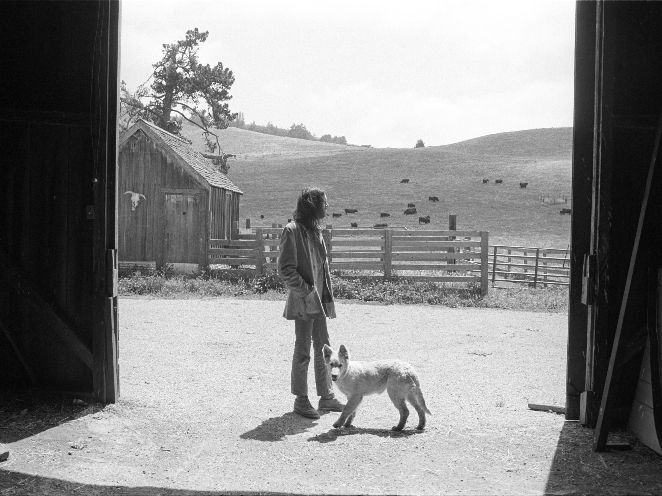 50-vuotias Harvest on laulunkirjoittamisen mestarikurssi – Neil Young laajensi klassikkoalbuminsa juhlapainosta dokumentilla ja konserttielokuvalla