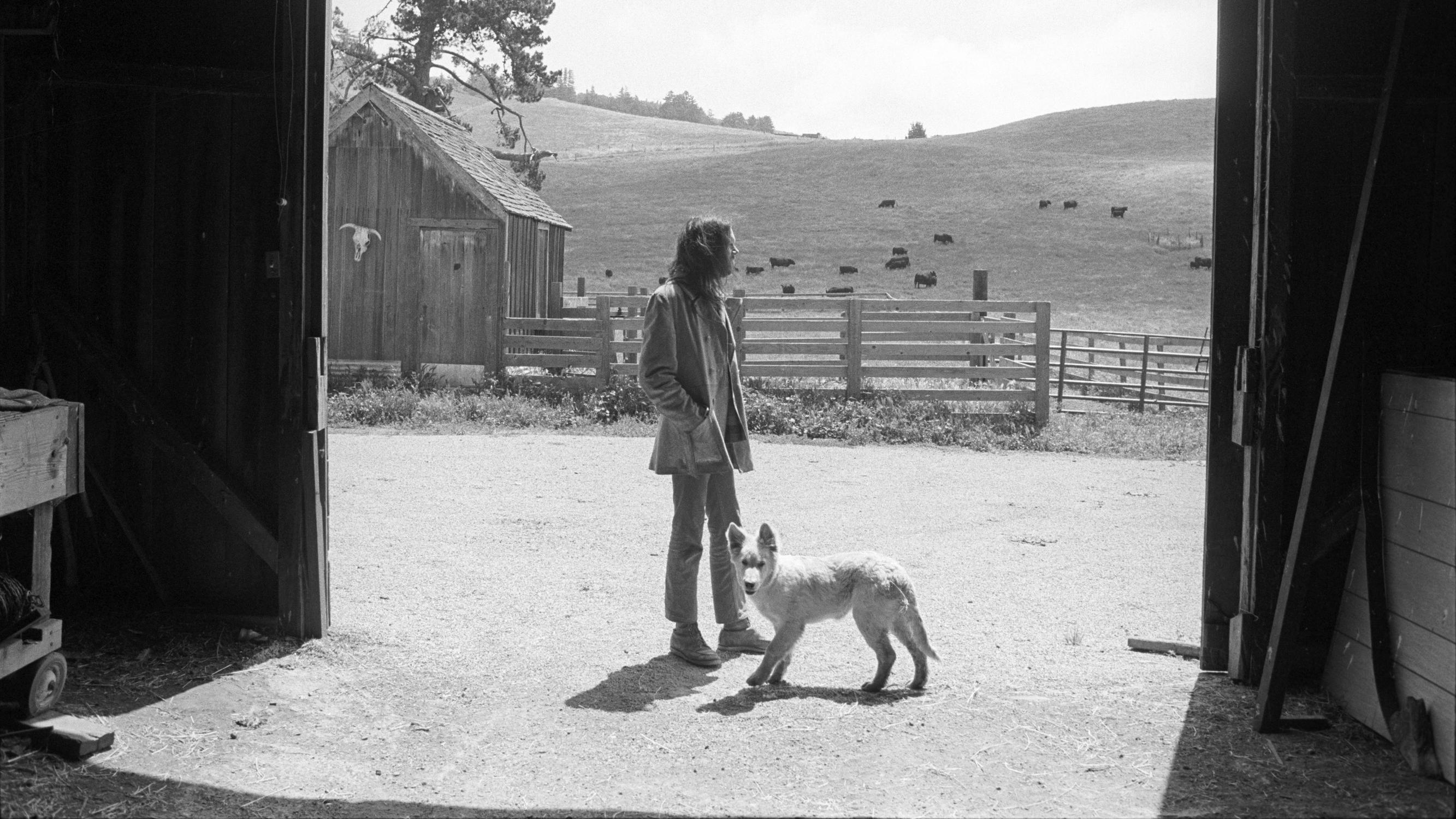 50-vuotias Harvest on laulunkirjoittamisen mestarikurssi – Neil Young laajensi klassikkoalbuminsa juhlapainosta dokumentilla ja konserttielokuvalla