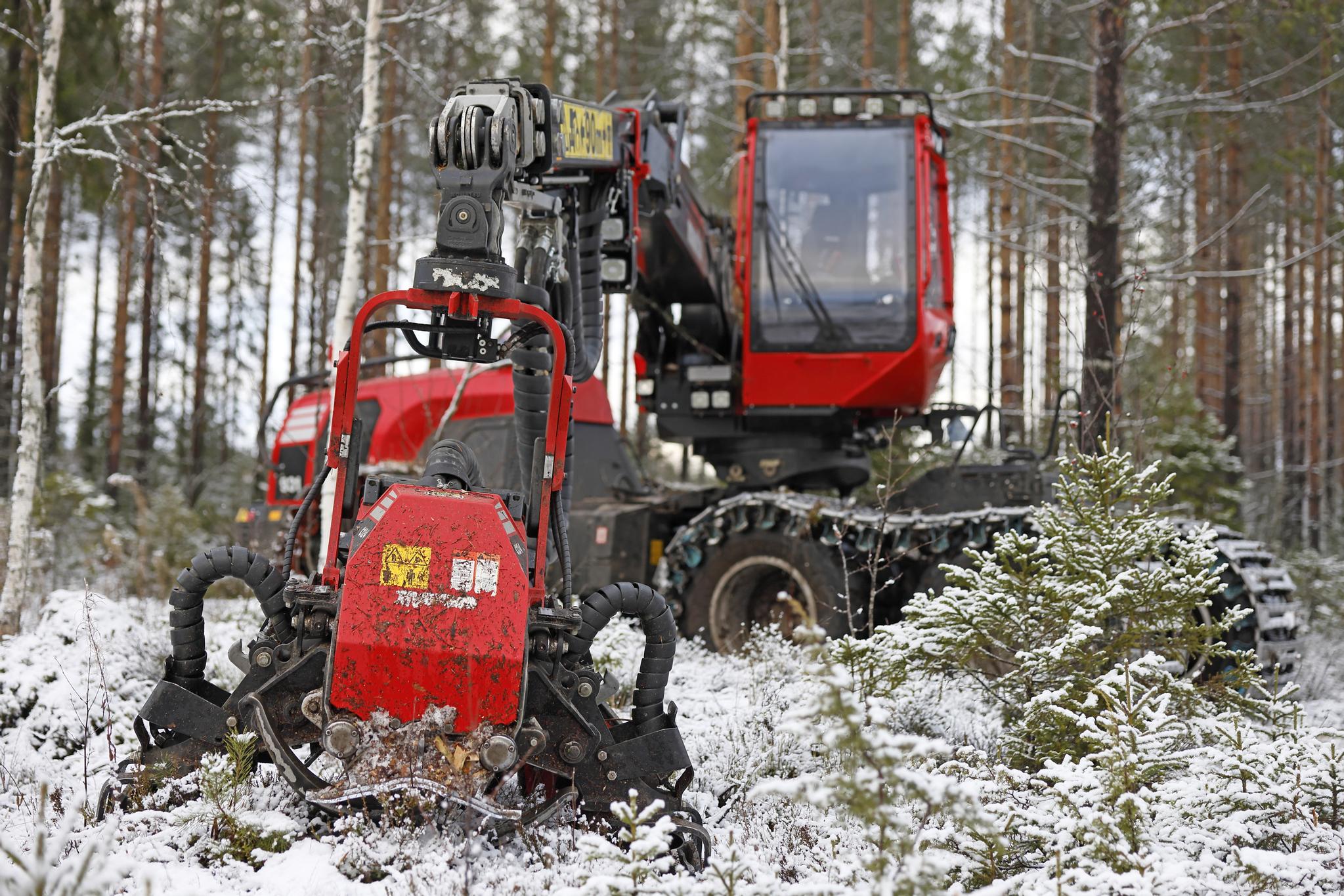 Metsä työllistää 60 000 | Näin metsätalous muutti Suomen | Apu