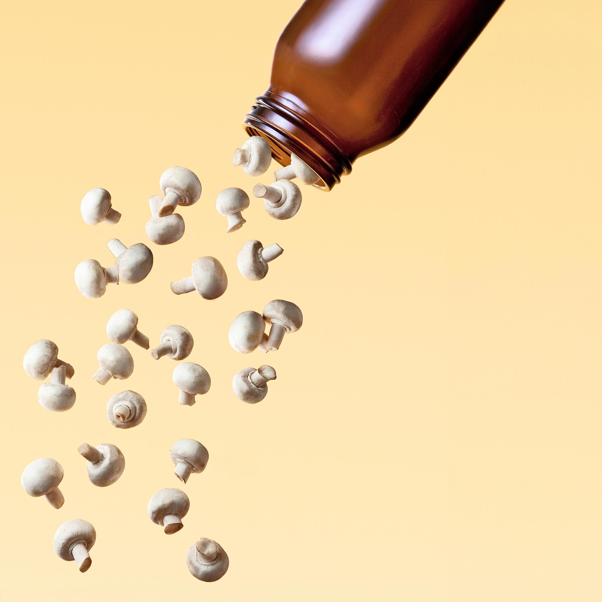 Sienistä ruokaan lihaista makua: Näitä ravintoaineita niistä saa, näin ne kannattaa säilöä ja tee näin, jos vatsa ei kestä niitä