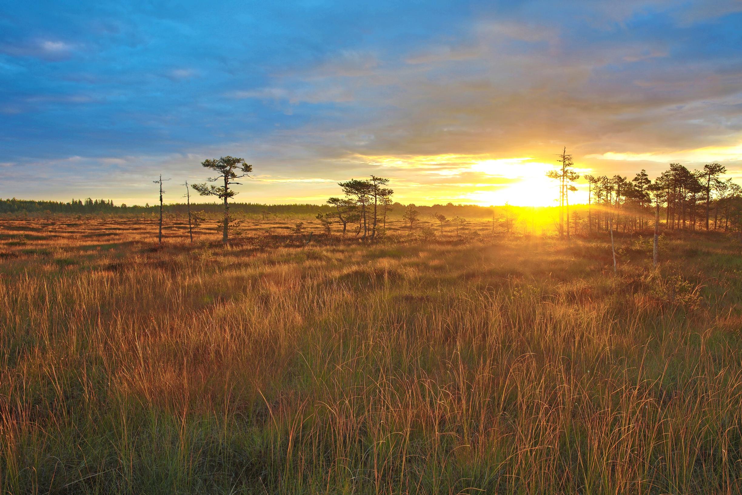 Erämaan tunnelmaa. Kurjenrahkan kansallispuistossa on upeita keidassoita.