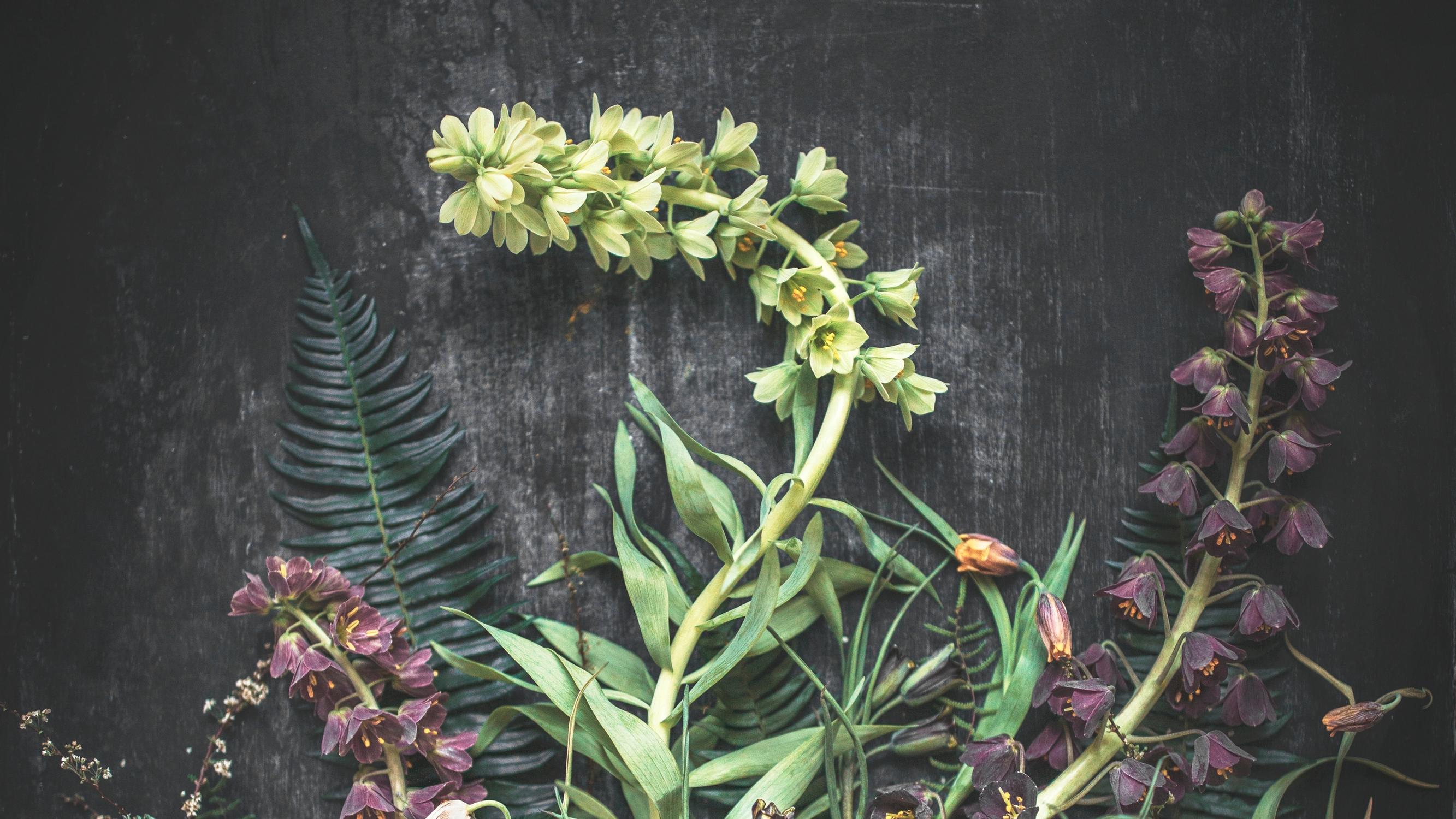 Kuolematon kysymys: Valtaosa suomalaisista sallisi eutanasian, mutta Tommi Uschanov kysyy, olemmeko ajatelleet asian loppuun asti