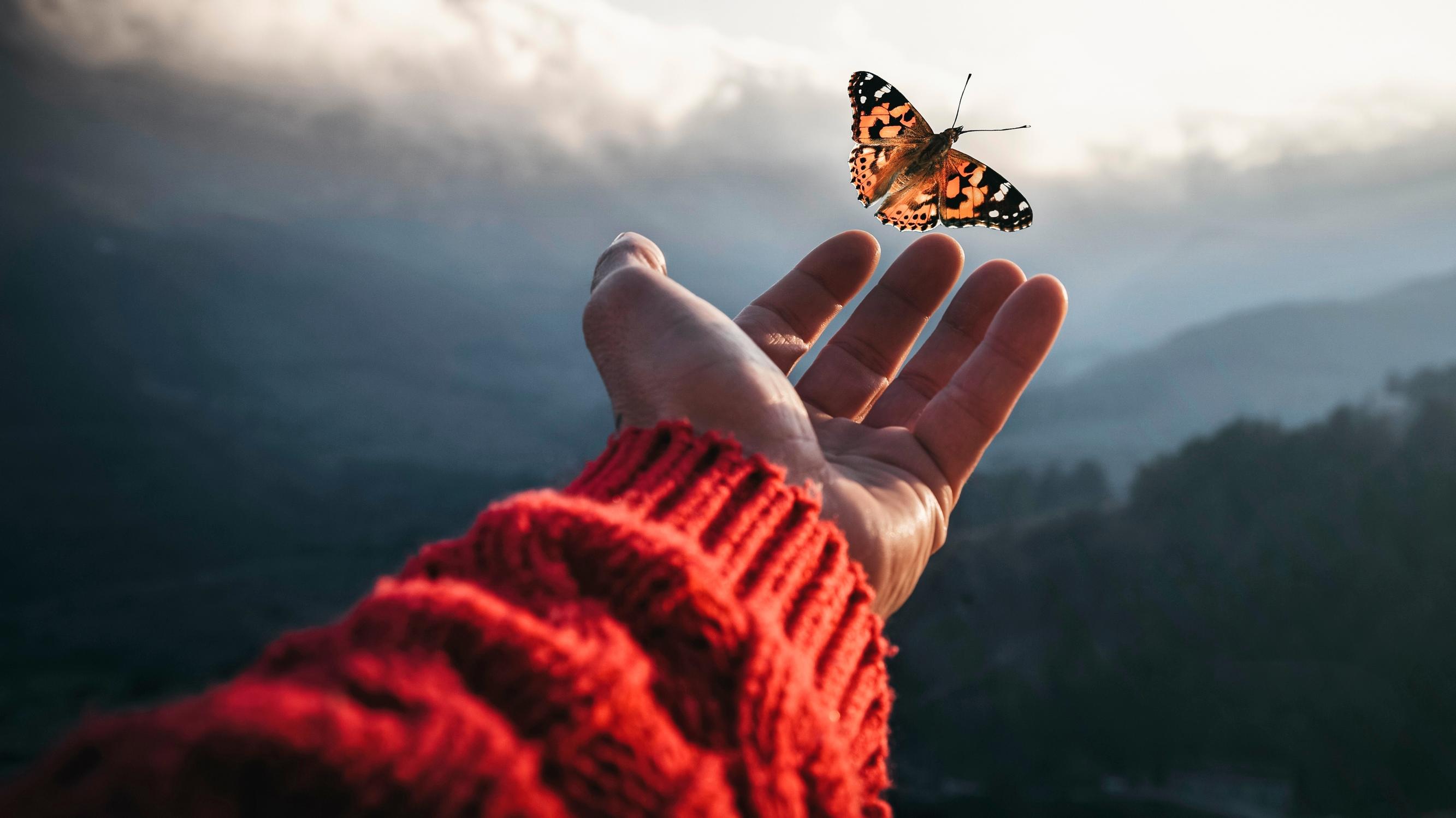 Kuolemanpelkoa voi taltuttaa suunnittelemalla omat hautajaisensa – Kun hyväksyy kuoleman osaksi elämää, pystyy nauttimaan elämästä