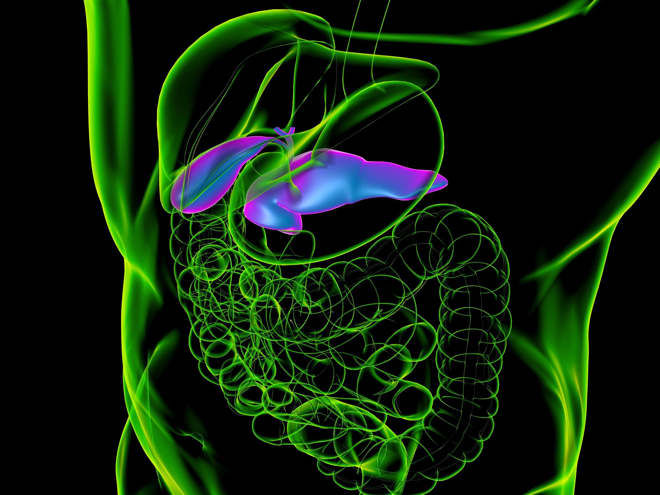 Haimasyöpä tunnetaan yhä huonosti – On mysteeri, miksi se on yleisempi Pohjoismaissa kuin muualla