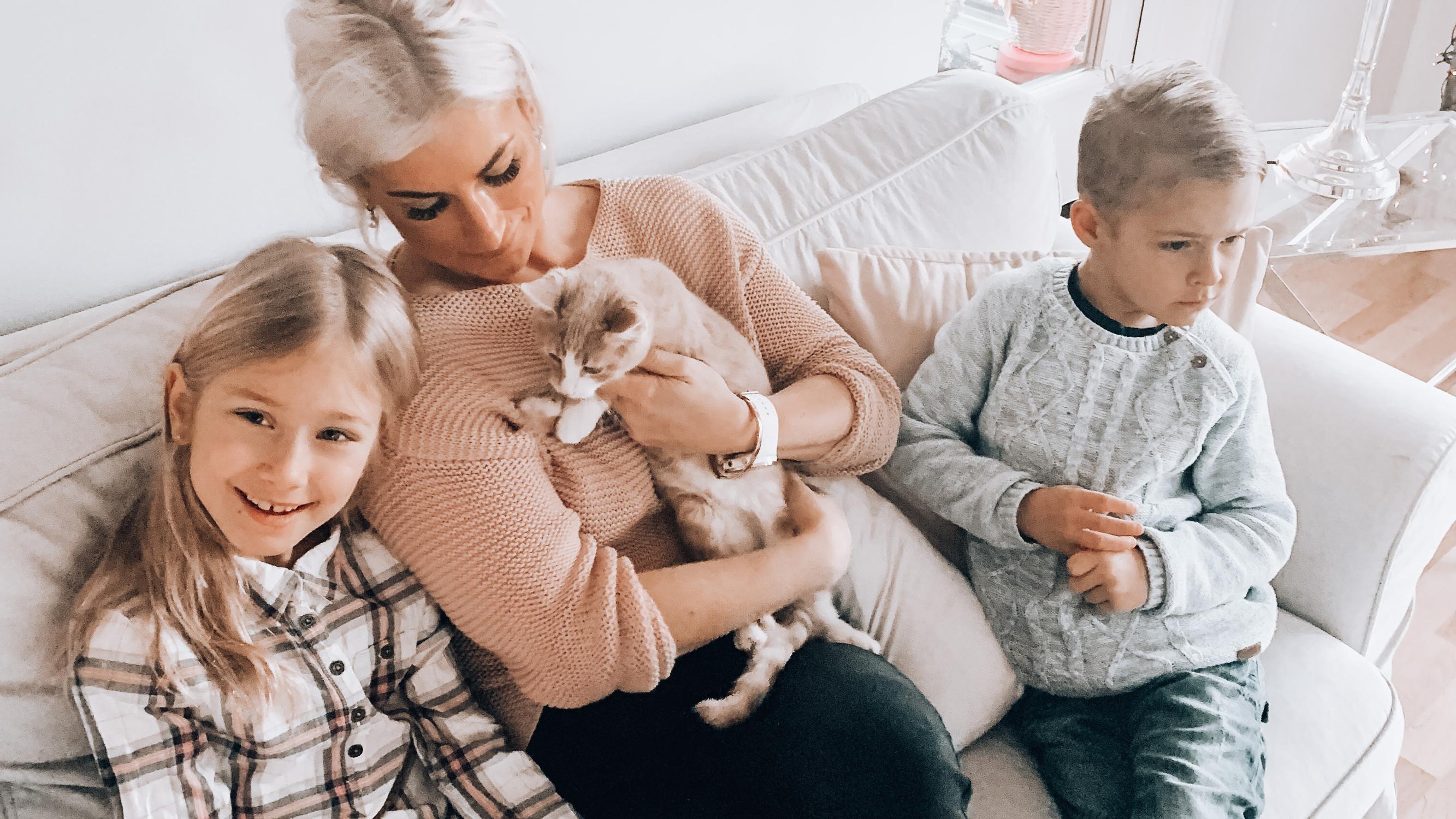 Metsään hylätty kissanpentu Väinö sai kodin – Uusi emäntä Karoliina Roos: "Väinö tuntui heti ihanalta, omalta vauvalta – Tuli pörräämään syliin"