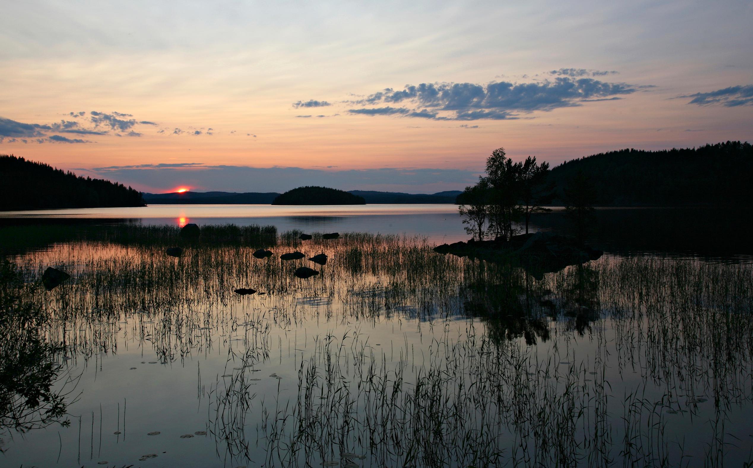 Samettisen pehmeä kesäilta painuu mailleen Rutalahdessa, Päijänteen rannalla. Kiiltomadot viihtyvät erityisen hyvin tällaisissa paikoissa, vesistöjen äärellä sijaitsevissa heinikoissa.