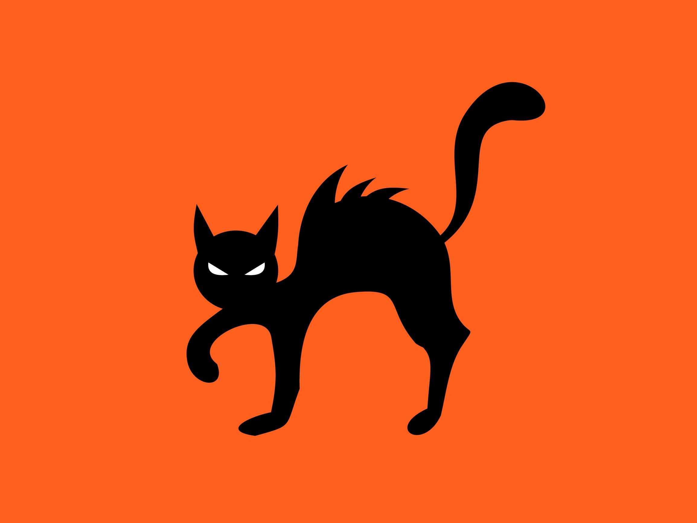 Jos eläimen purema tulehtuu, itsehoito ei auta – Muista matkoilla myös rabiesvaara