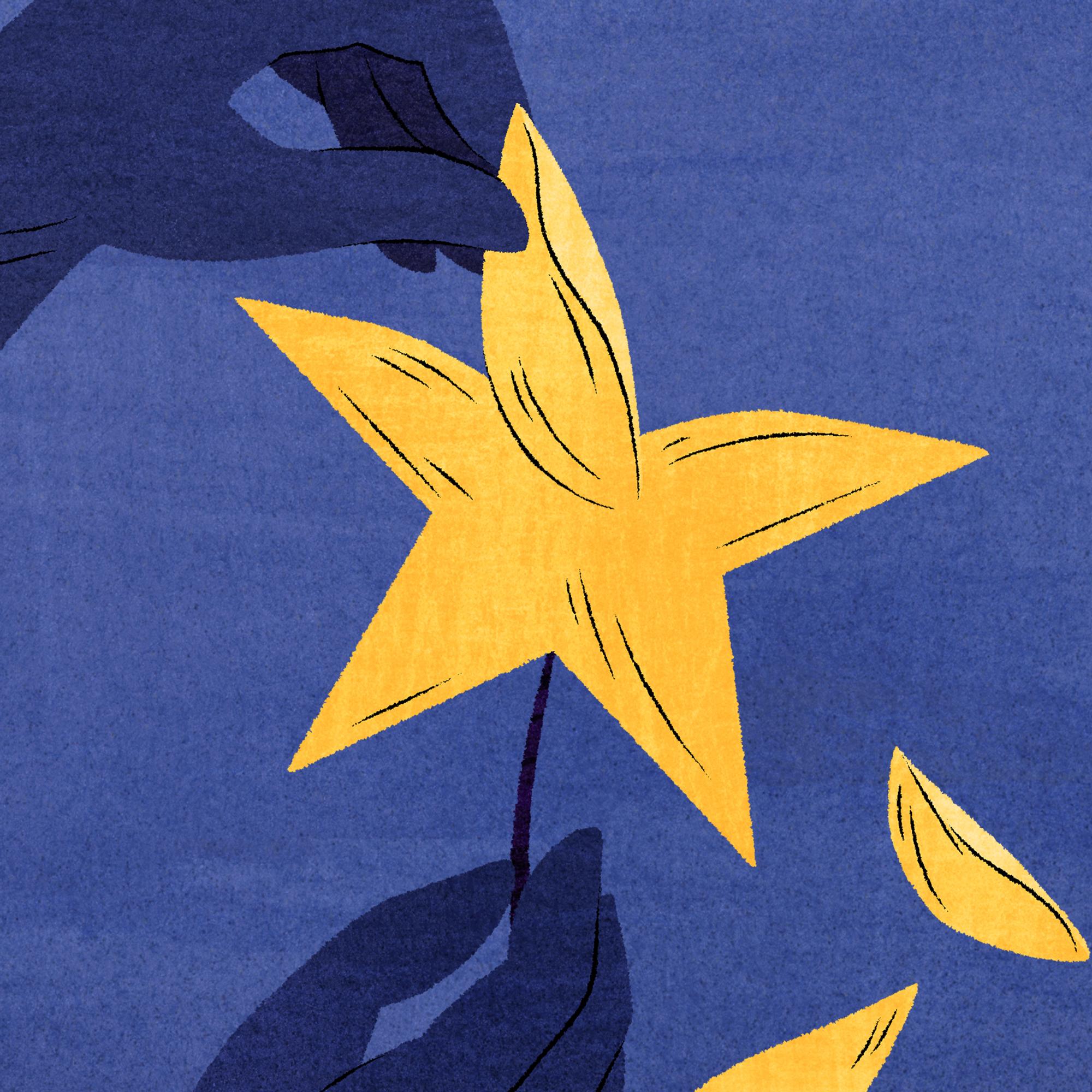 Miten käy EU:lle lähivuosina? Tutkija näkee kehityskulkuja, jotka ovat samanlaisia kuin ennen 1. maailmansotaa
