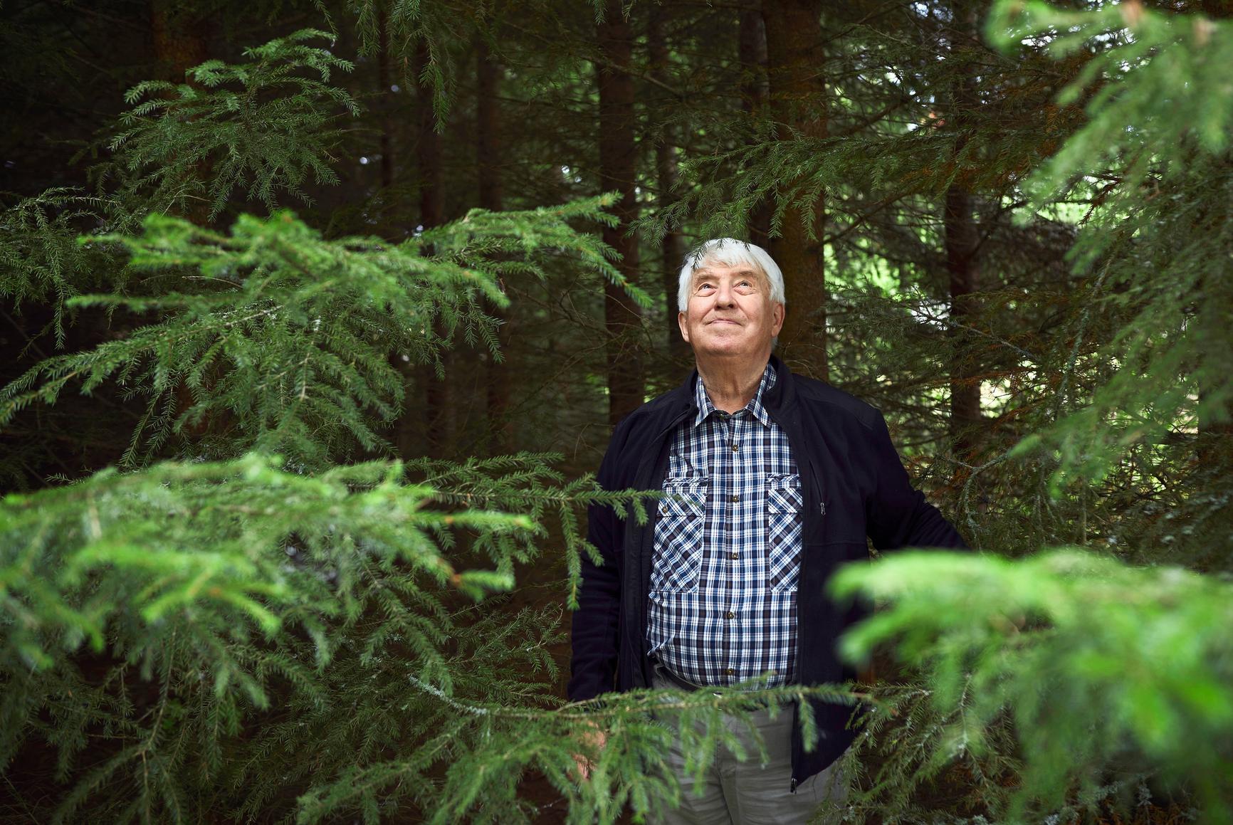 Reijo Rautio, Oulainen, on Suomen suurimpia metsänomistaja | Apu