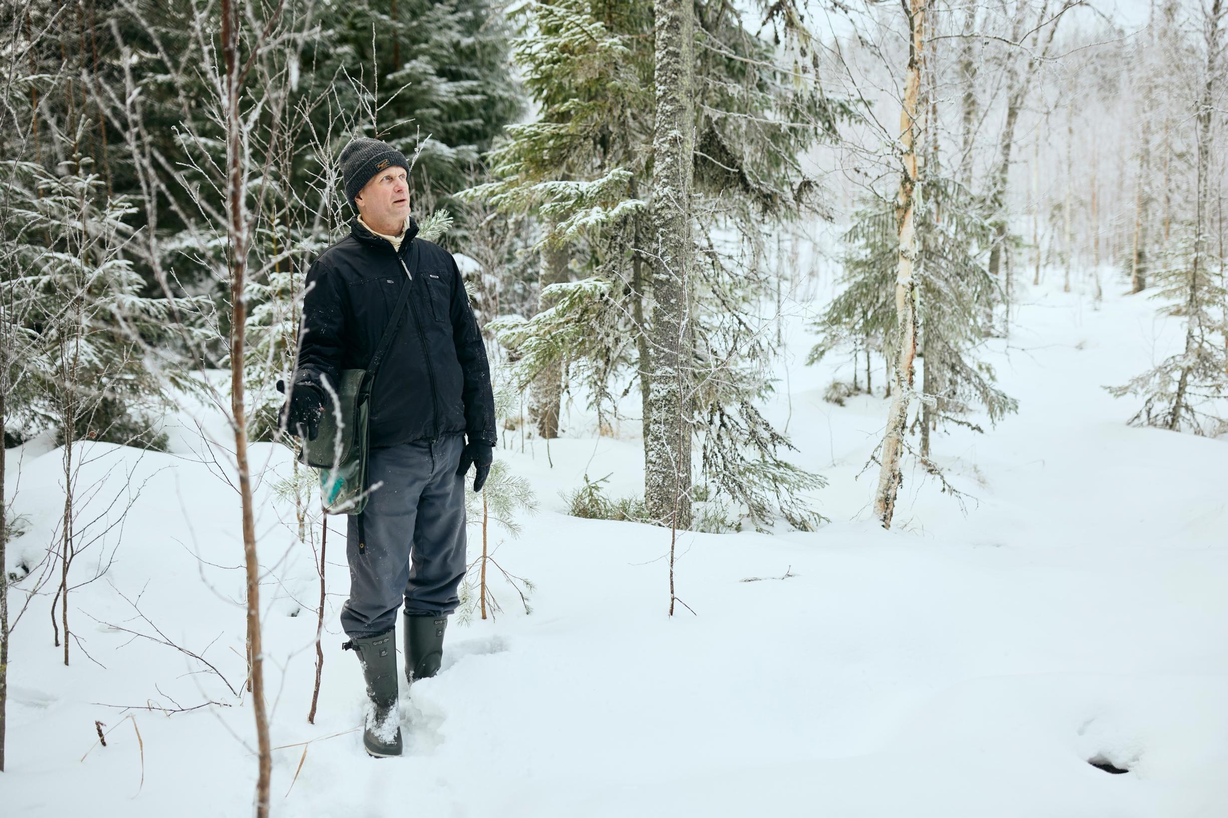 Teppo Häyhä tarkastelee korpea. Hänen arvionsa mukaan läheinen tuulivoimalalle rakennettu tie on kuivattanut aluetta.