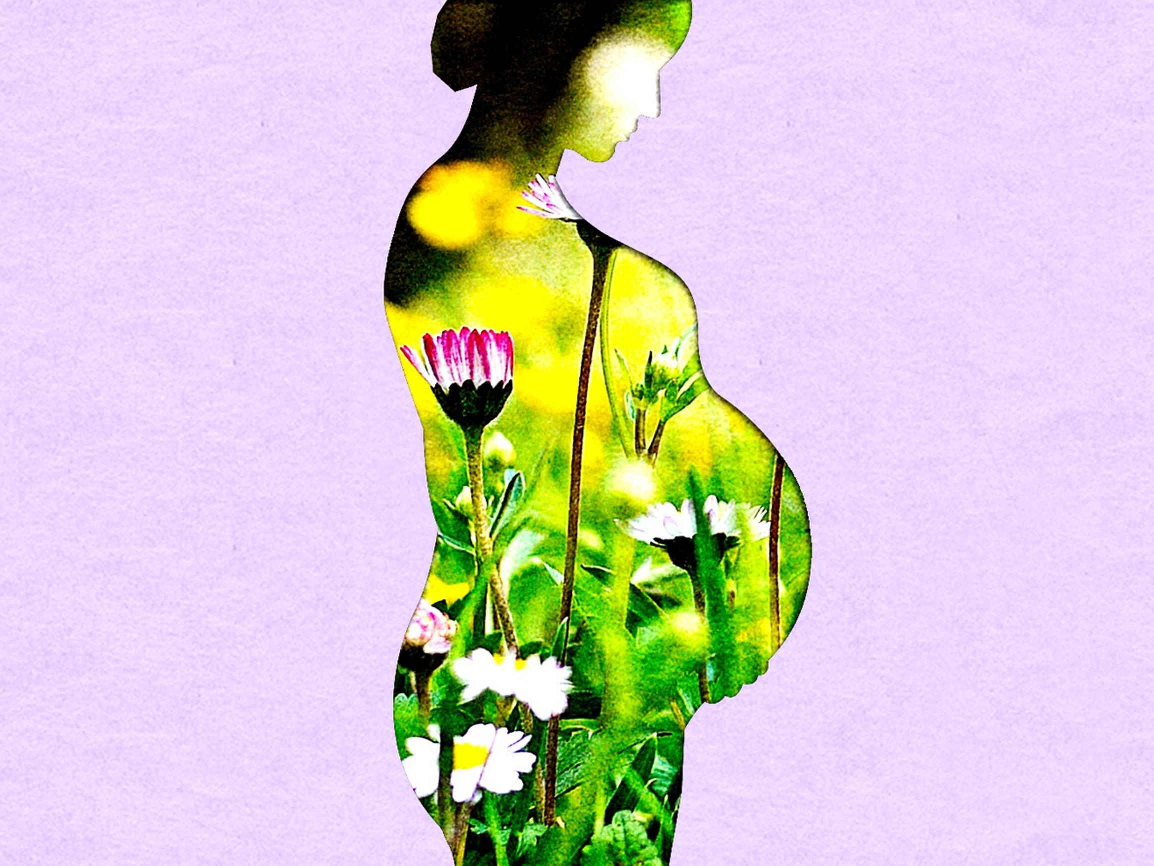 Ennen vauvoja ”tehtiin” jouluna – Nyt hedelmällisyyskalenteri on murroksessa, tästä se johtuu