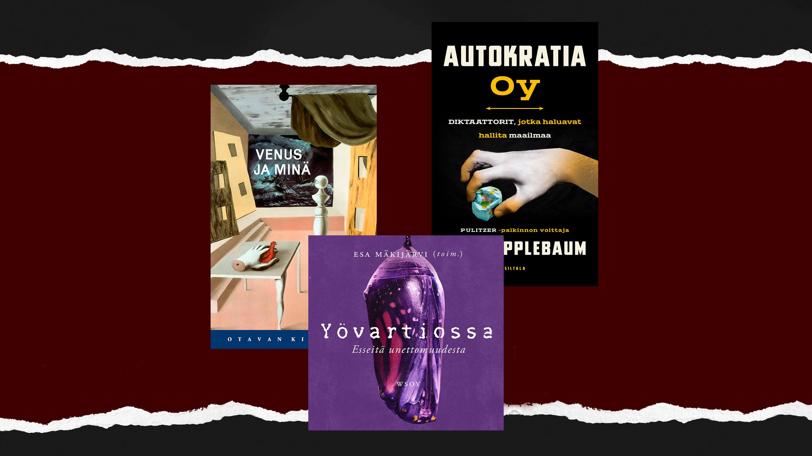 Imagen kirja-arviot: Hipsuttelua ja hupsuttelua taidemuseossa