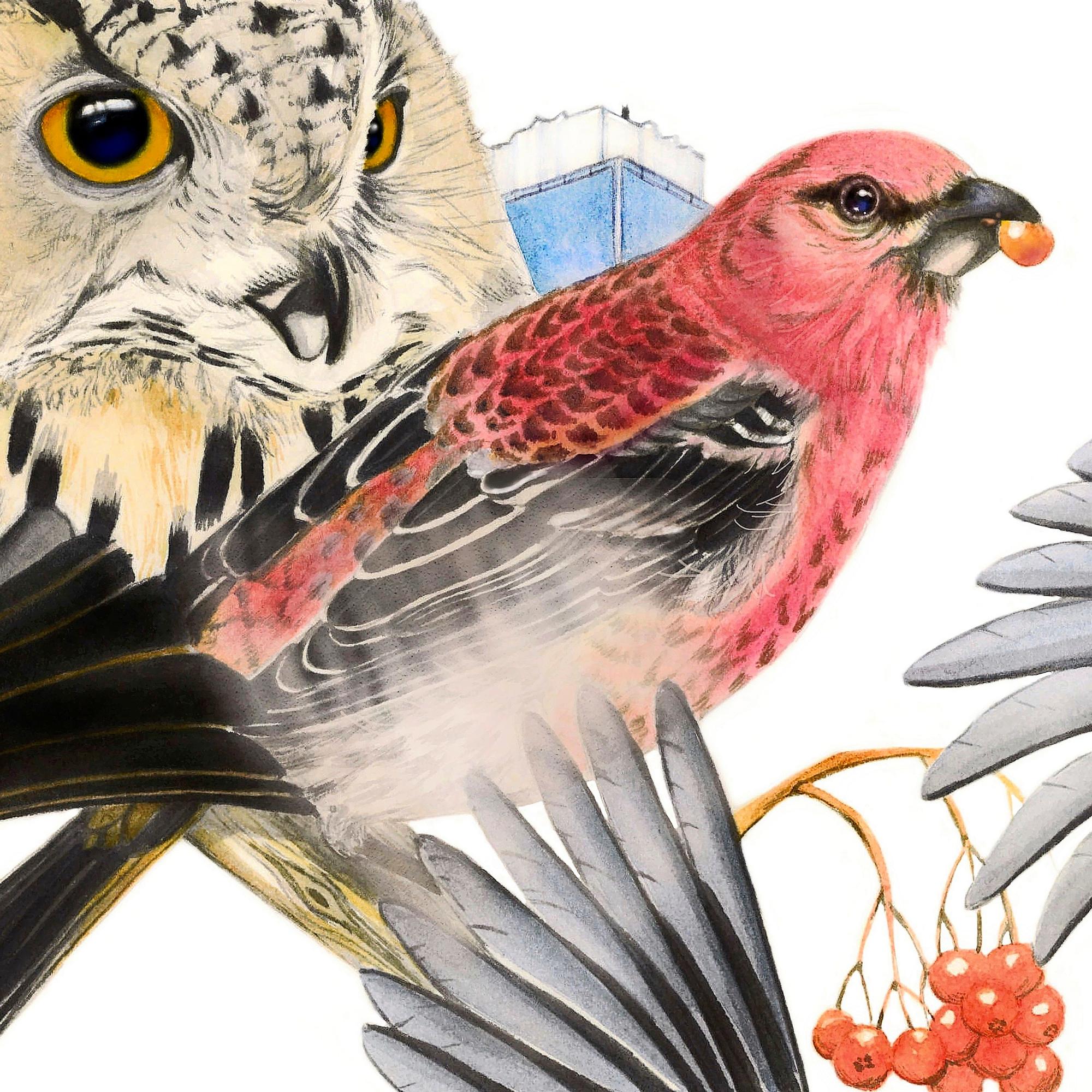 Rääseikkö tai jätelampi on paljon puistoa kiinnostavampi – Siitä voi tulla lintuparatiisi