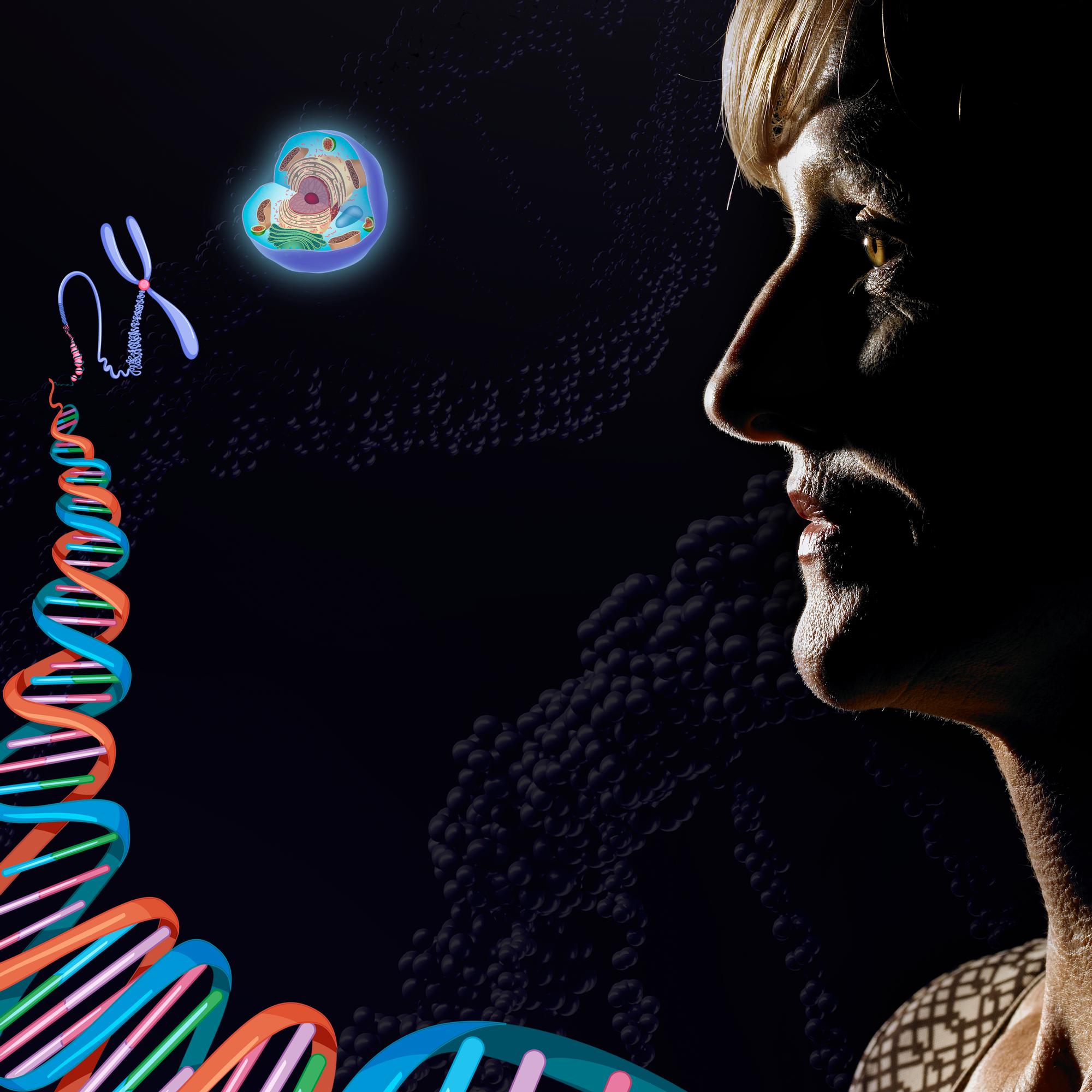 7 sukututkimuksen askelta – Näin voit täydentää DNA-testillä arkistojen aarteita 
