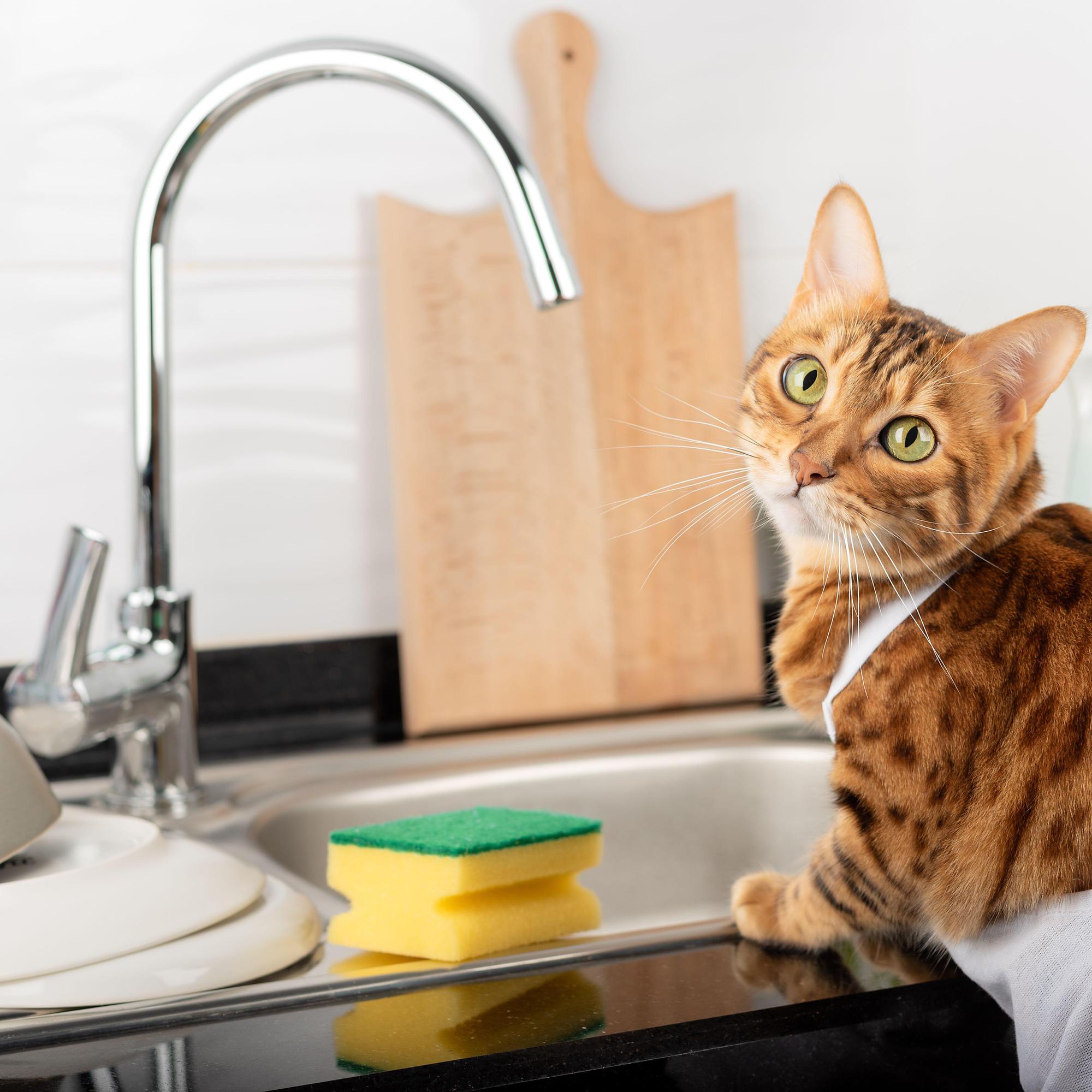 Saako viemäriin kaataa kiehuvaa vettä? Entä tonnikalapurkin öljyn? – Asiantuntija vastaa