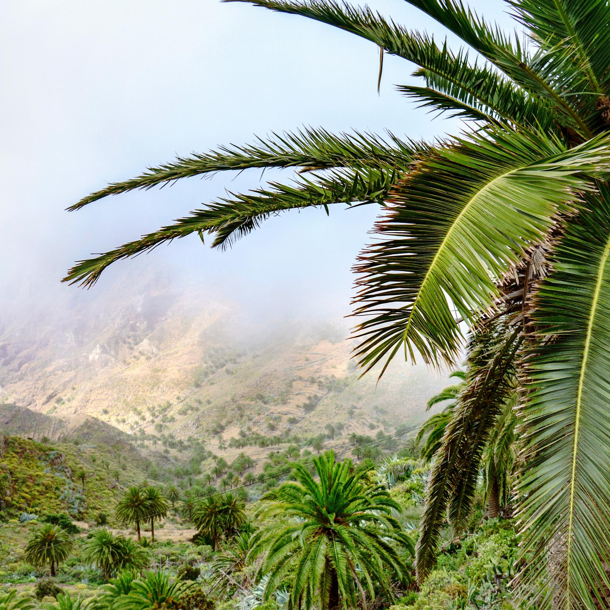Retkeilijän lomasaari La Gomera