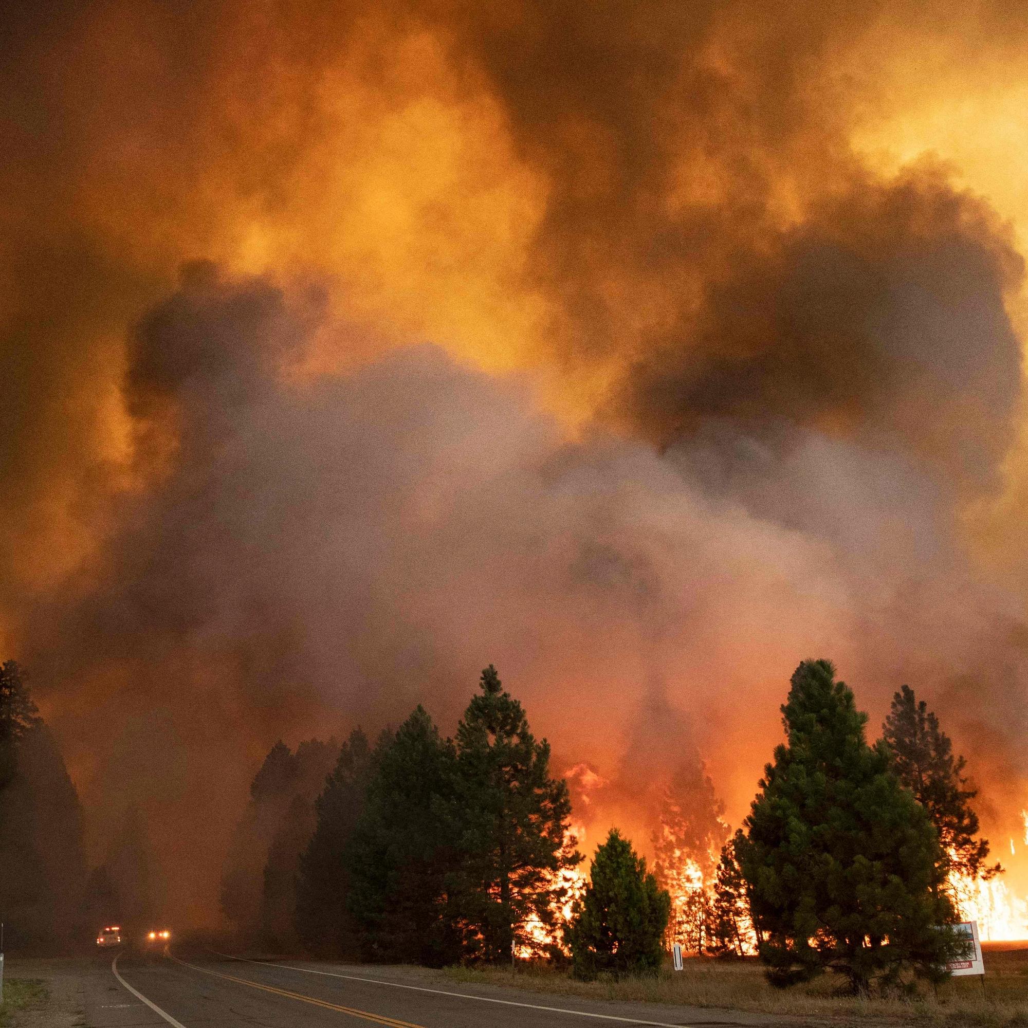 14 000 tutkijaa varoittaa hätätilasta – Maapallon kantokyky ylitetty – Toivoa tuo aurinko- ja tuulivoiman käytön merkittävä kasvu