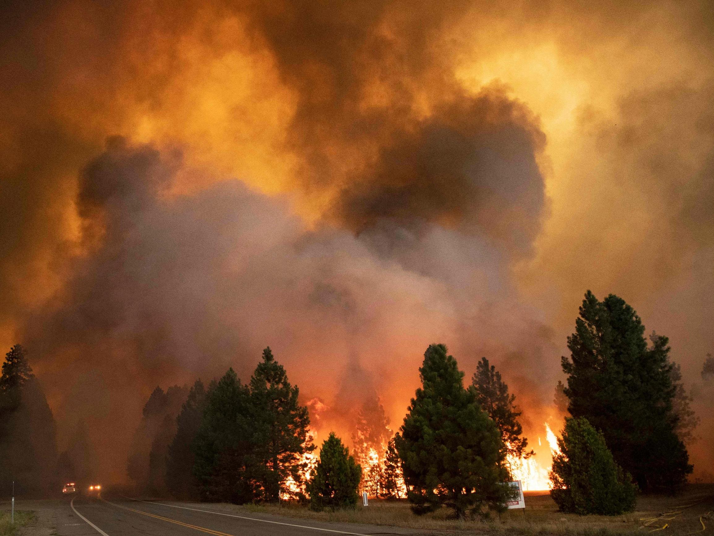 14 000 tutkijaa varoittaa hätätilasta – Maapallon kantokyky ylitetty – Toivoa tuo aurinko- ja tuulivoiman käytön merkittävä kasvu