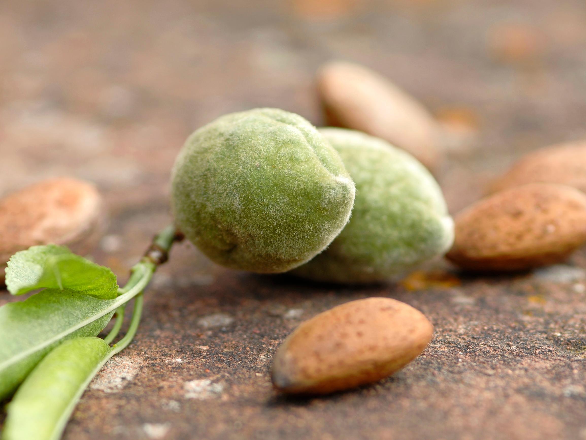 Tämä rasvainen herkku parantaa kolesteroliarvoja ja tukee painonhallintaa