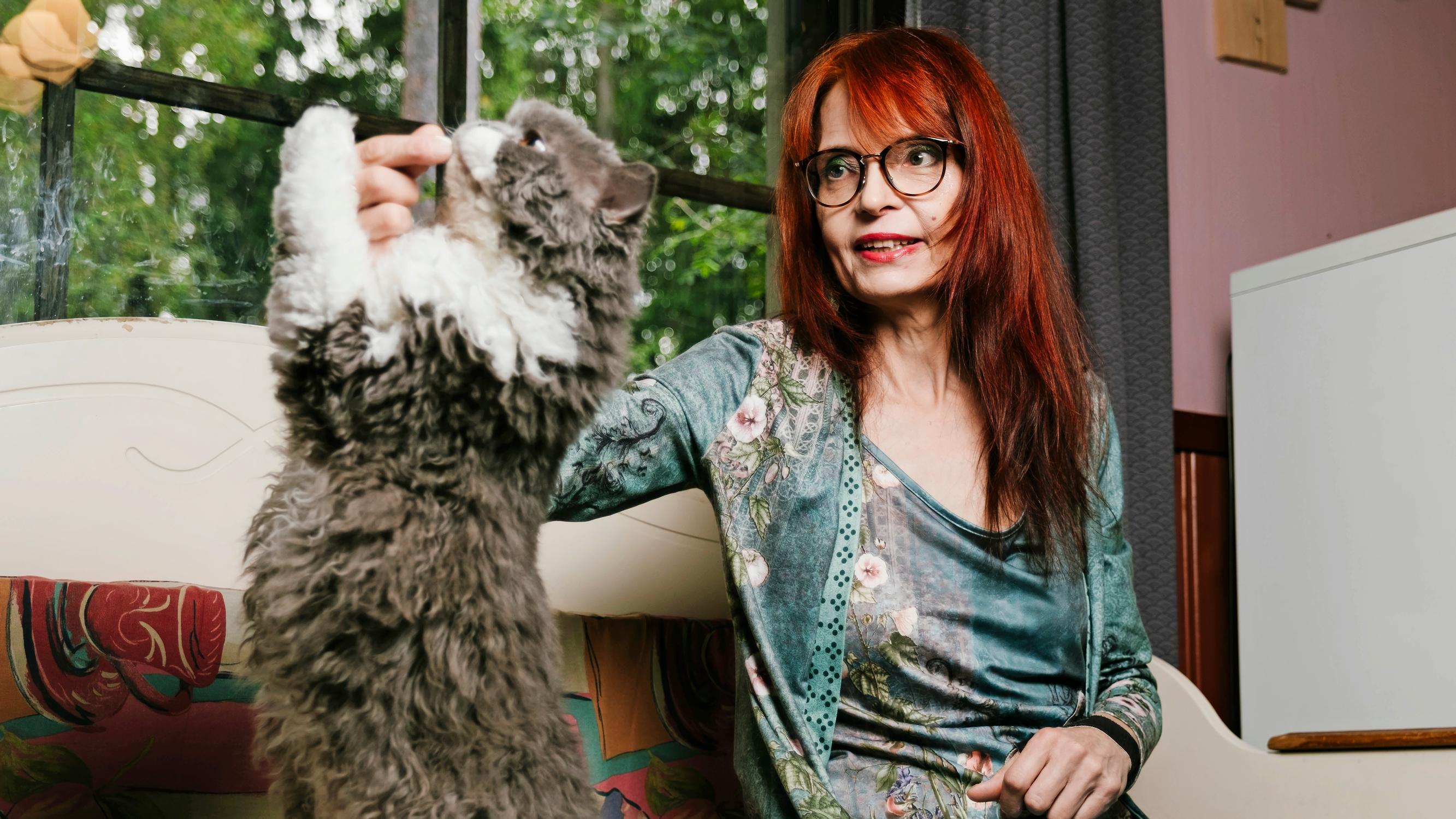 Kun Minna Kurttilan kivut äityvät pahoiksi, kissat syöksyvät auttamaan – ”Lemmikkieni hyvinvointi on minulle ykkösasia”