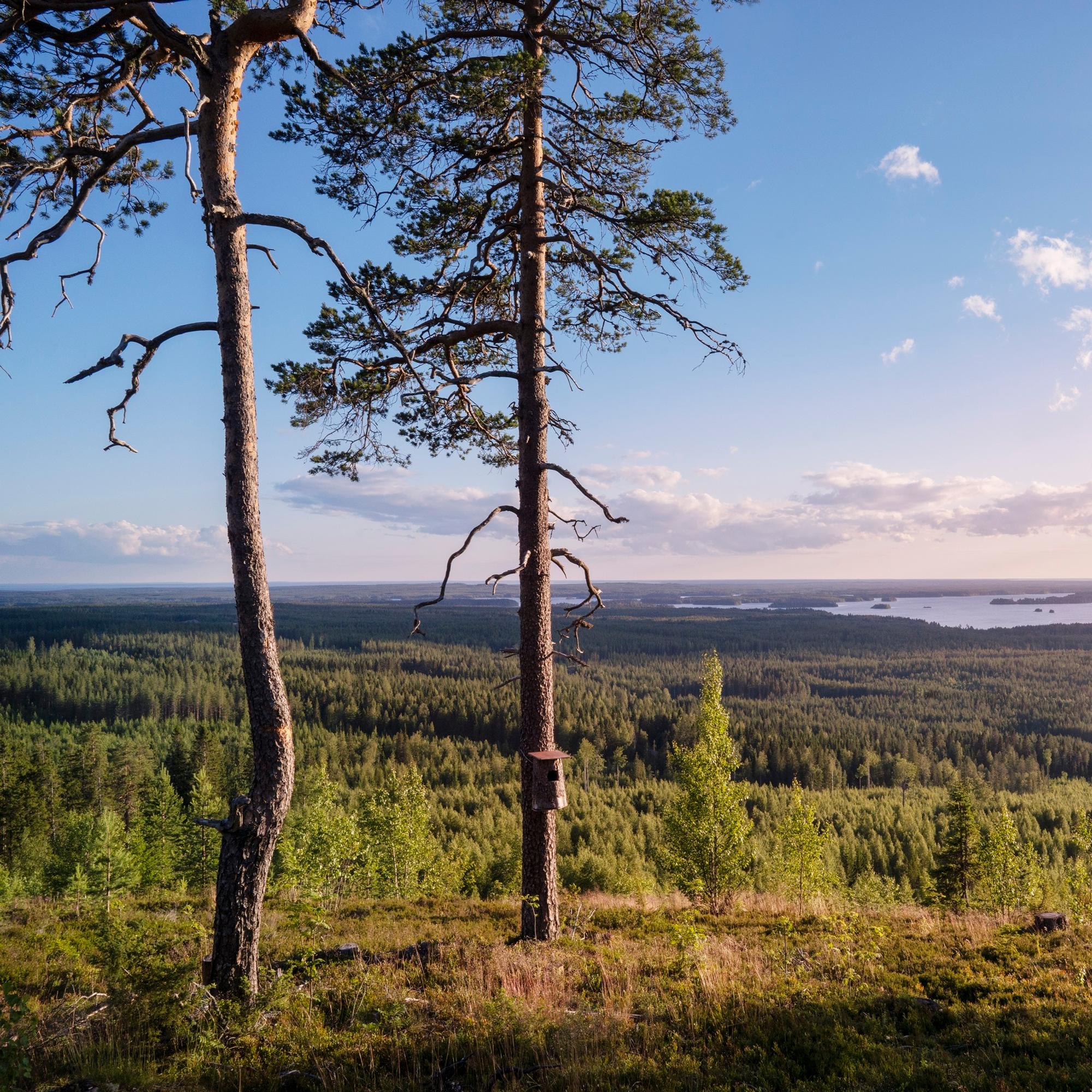 10 x Kainuun parhaat paikat matkailijalle