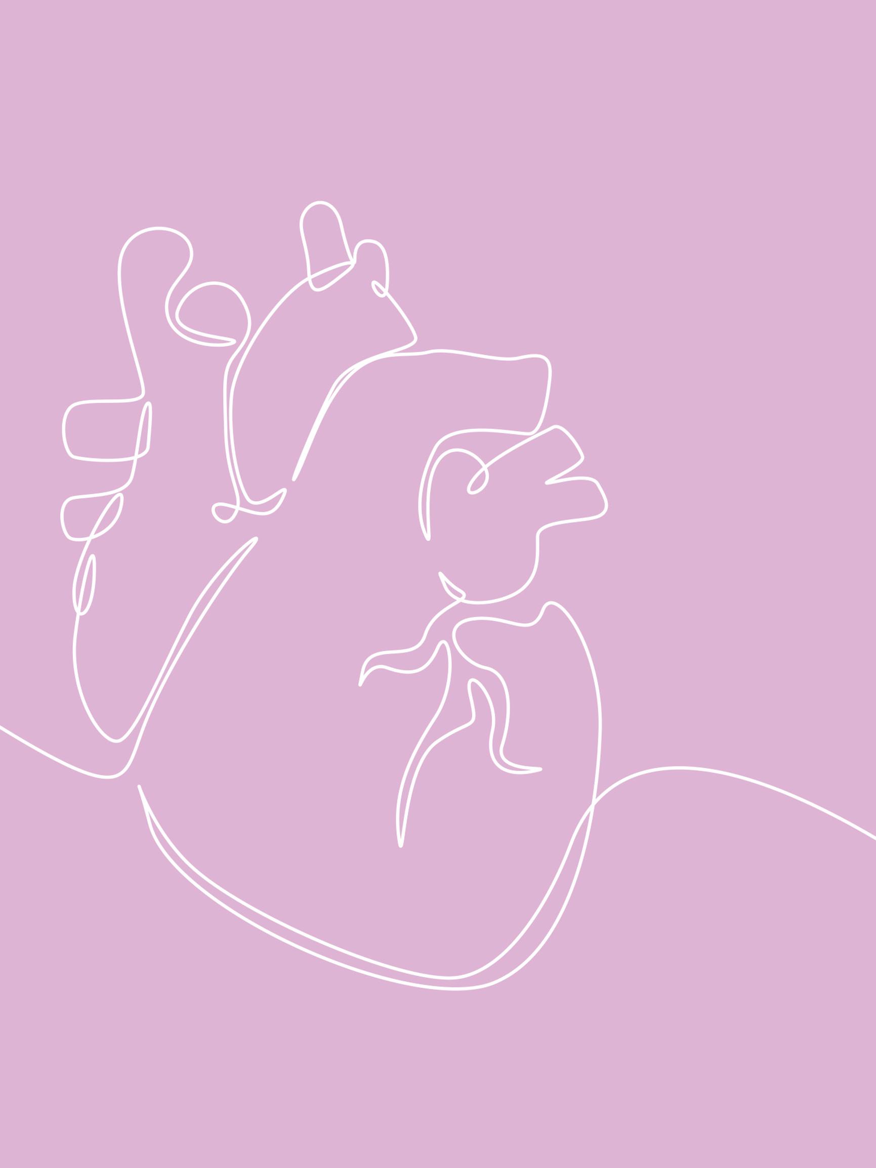 Kauanko pallolaajennuksesta toipuminen kestää ja milloin lääkkeet alkavat vaikuttaa? – Sydänliiton ylilääkäri vastaa