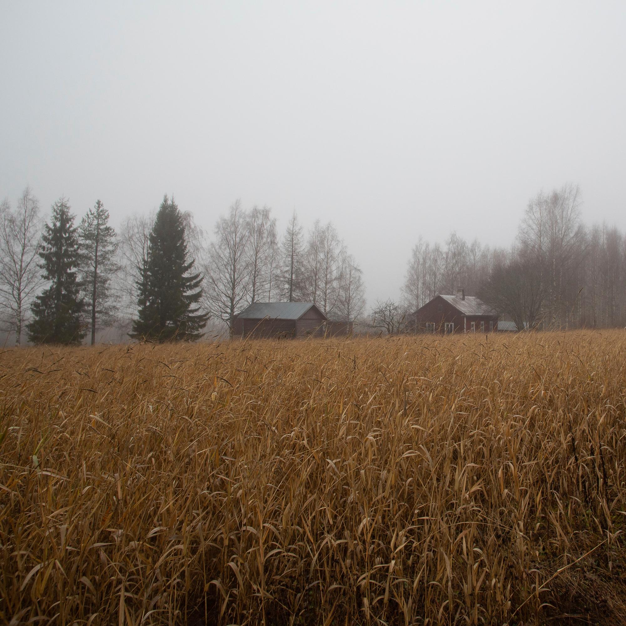 Imagen arkistosta: Pieni Rautavaara on uutisten ikuinen kriisikunta – Onko Henri Ruotsalainen sen viimeinen kunnanjohtaja? 