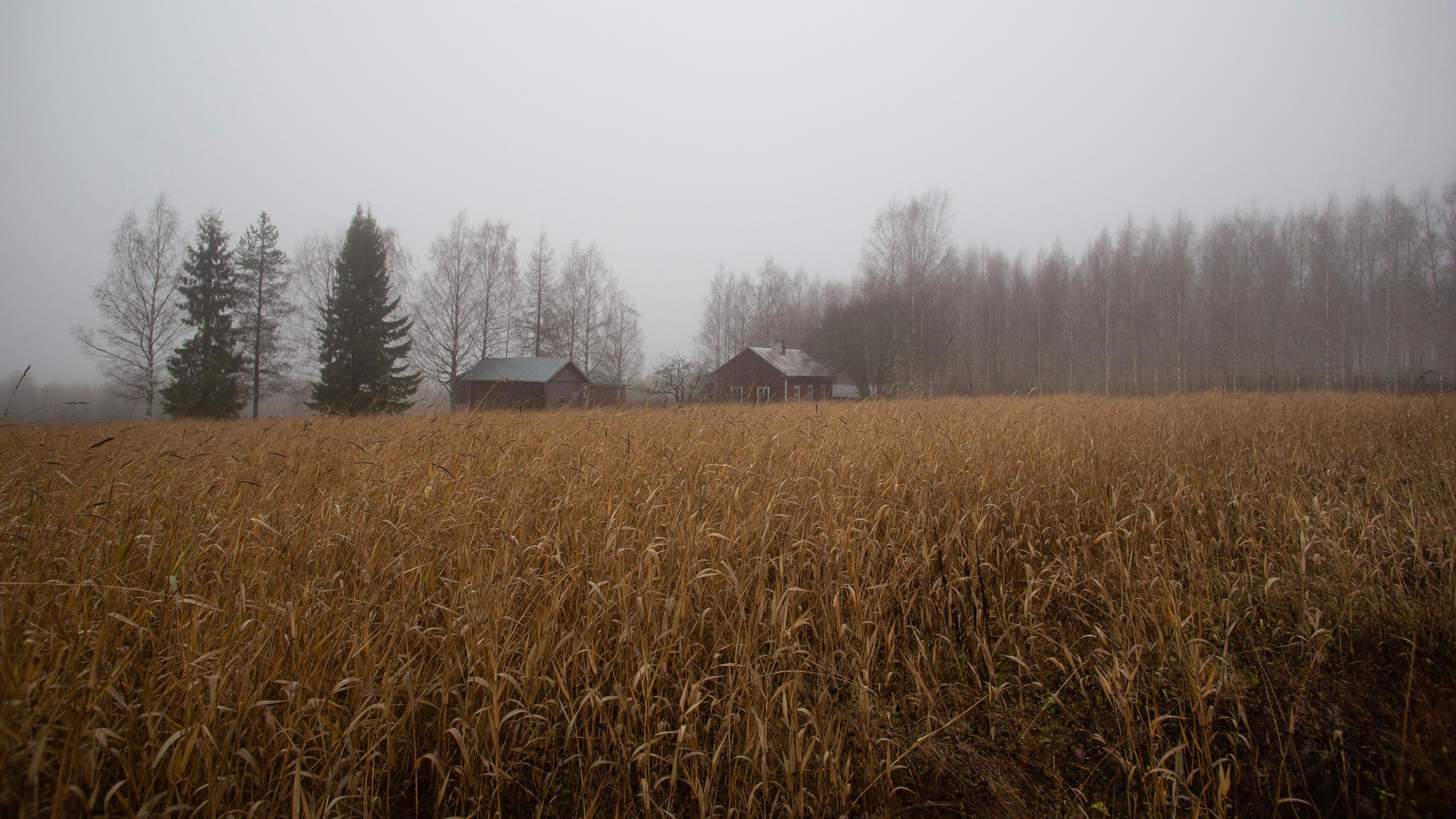 Imagen arkistosta: Pieni Rautavaara on uutisten ikuinen kriisikunta – Onko Henri Ruotsalainen sen viimeinen kunnanjohtaja? 