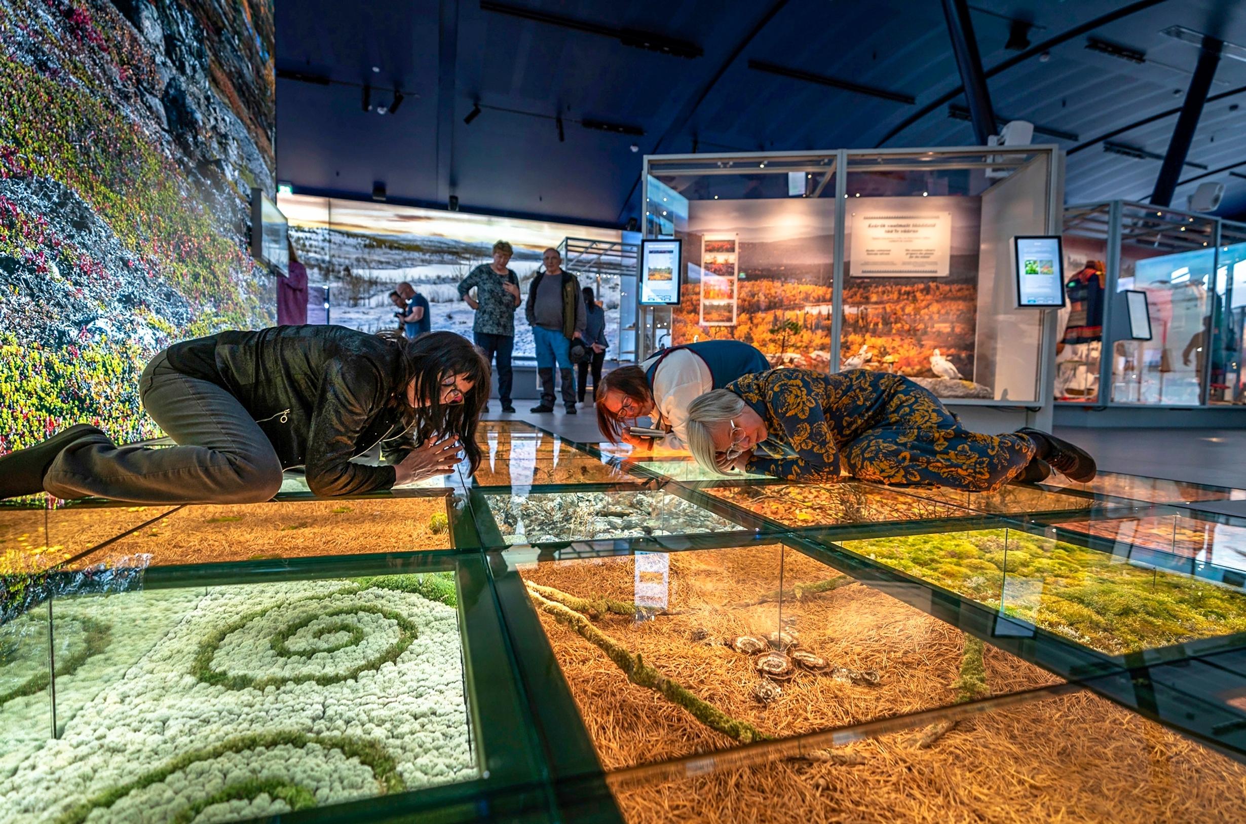 Siidassa katseltavaa on myös museon lattian alla olevissa vitriineissä.