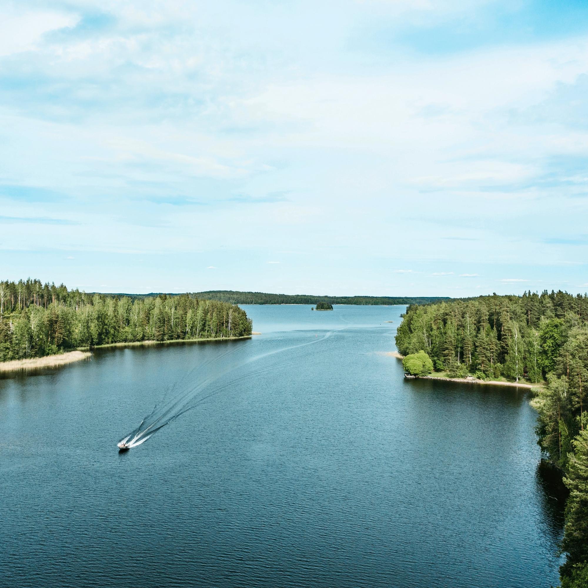 Näin voit itse luoda hyvän kalapaikan ja vähentää sinilevää – Laita uppopuuksi vaikka vanha joulukuusi