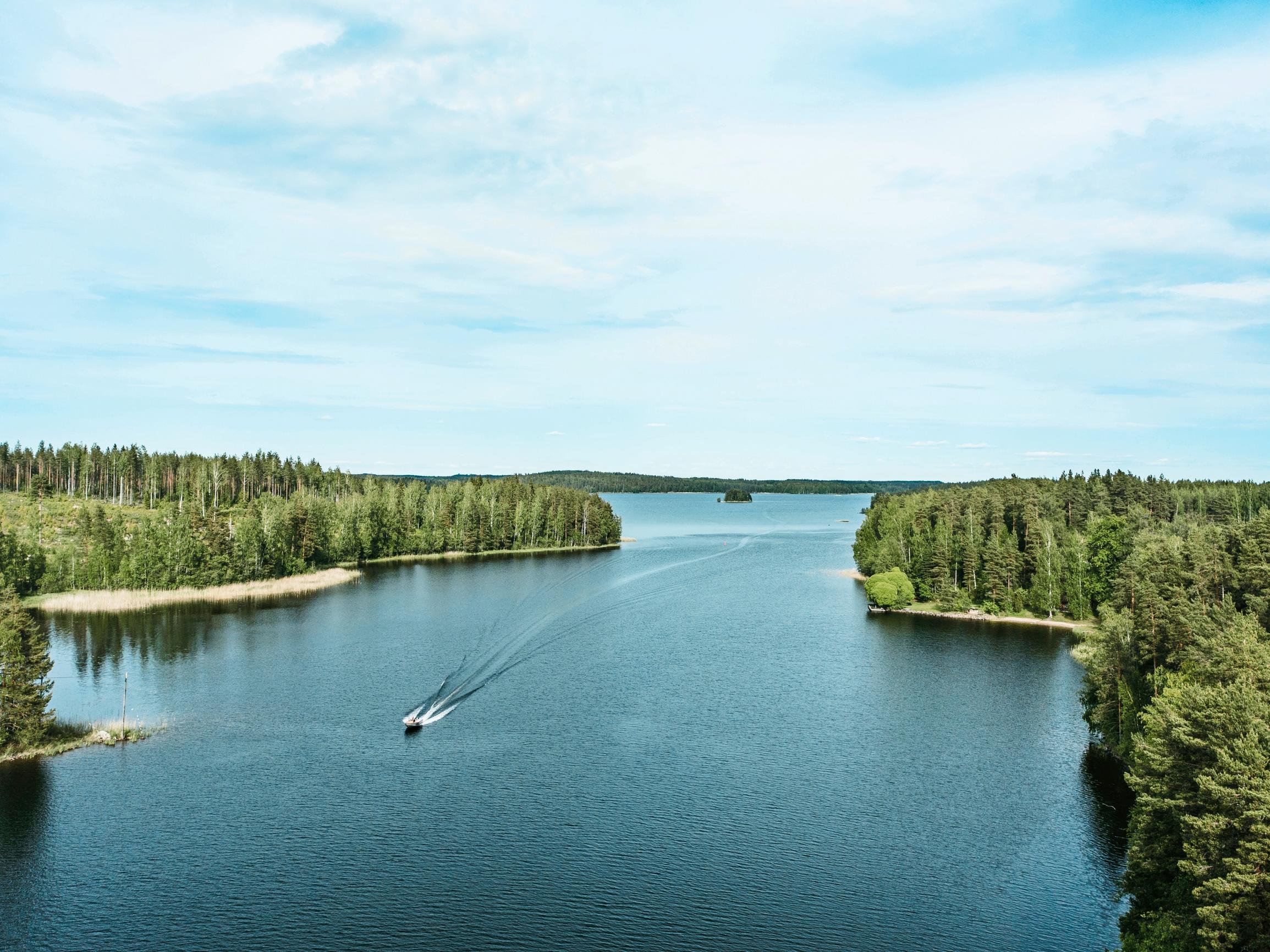 Näin voit itse luoda hyvän kalapaikan ja vähentää sinilevää – Laita uppopuuksi vaikka vanha joulukuusi
