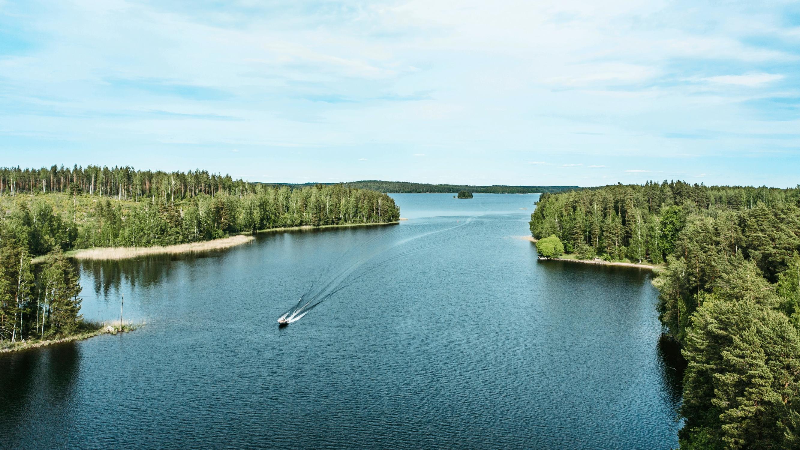 Näin voit itse luoda hyvän kalapaikan ja vähentää sinilevää – Laita uppopuuksi vaikka vanha joulukuusi