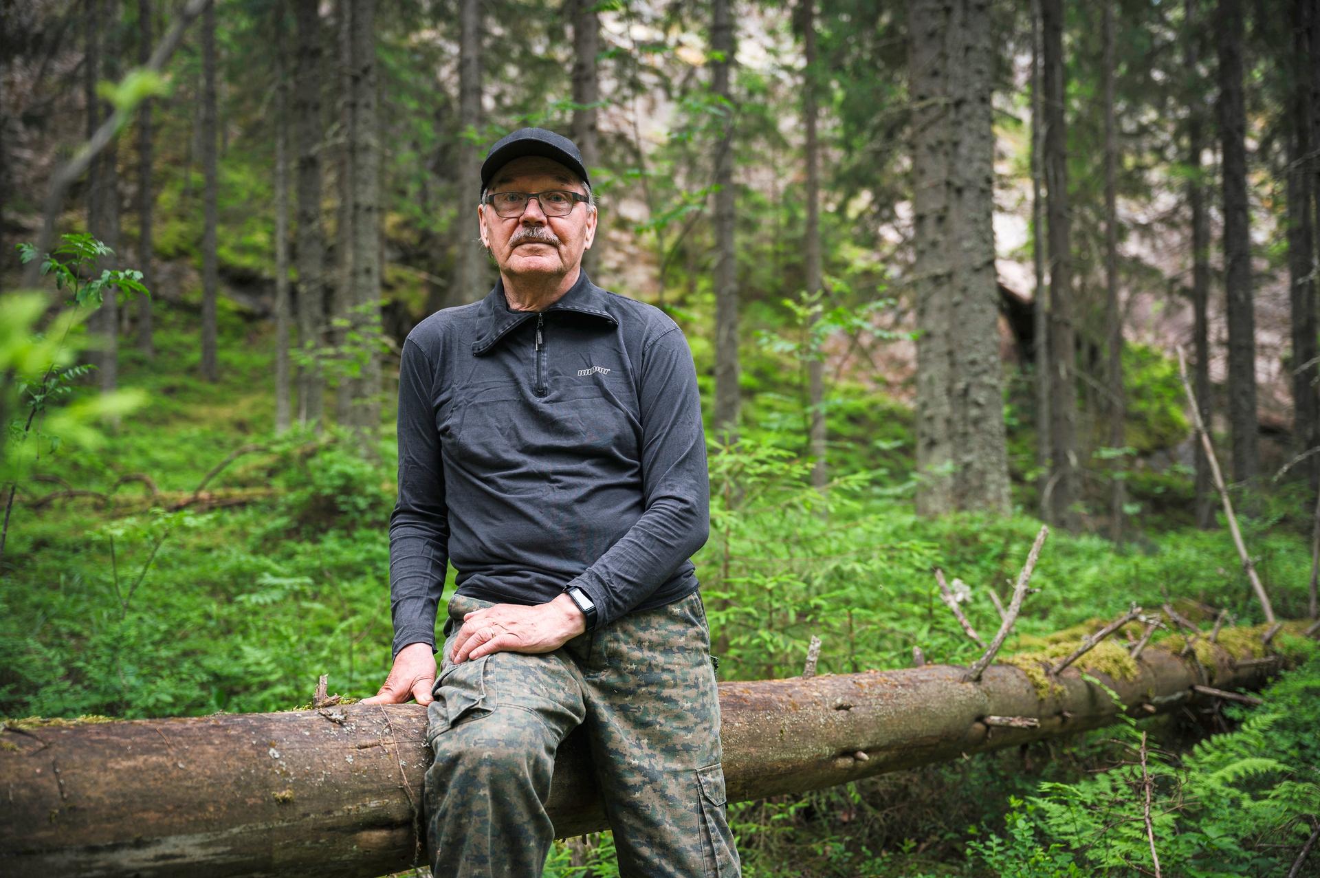 Luonto iskee takaisin | Suomalainen metsä kuin Avatar-elokuvasta | Apu