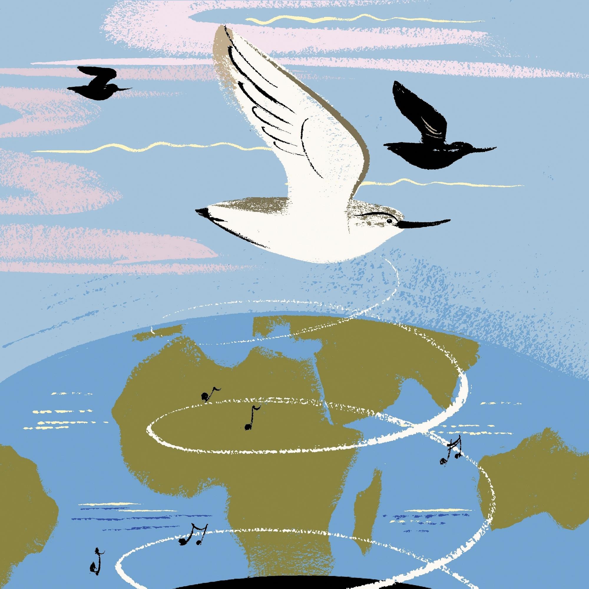 Elämä maapallolla kehittyi kuin Bachin fuuga – Niin syntyi rantakurvi, jonka löysi valistukseen uskonut tutkija