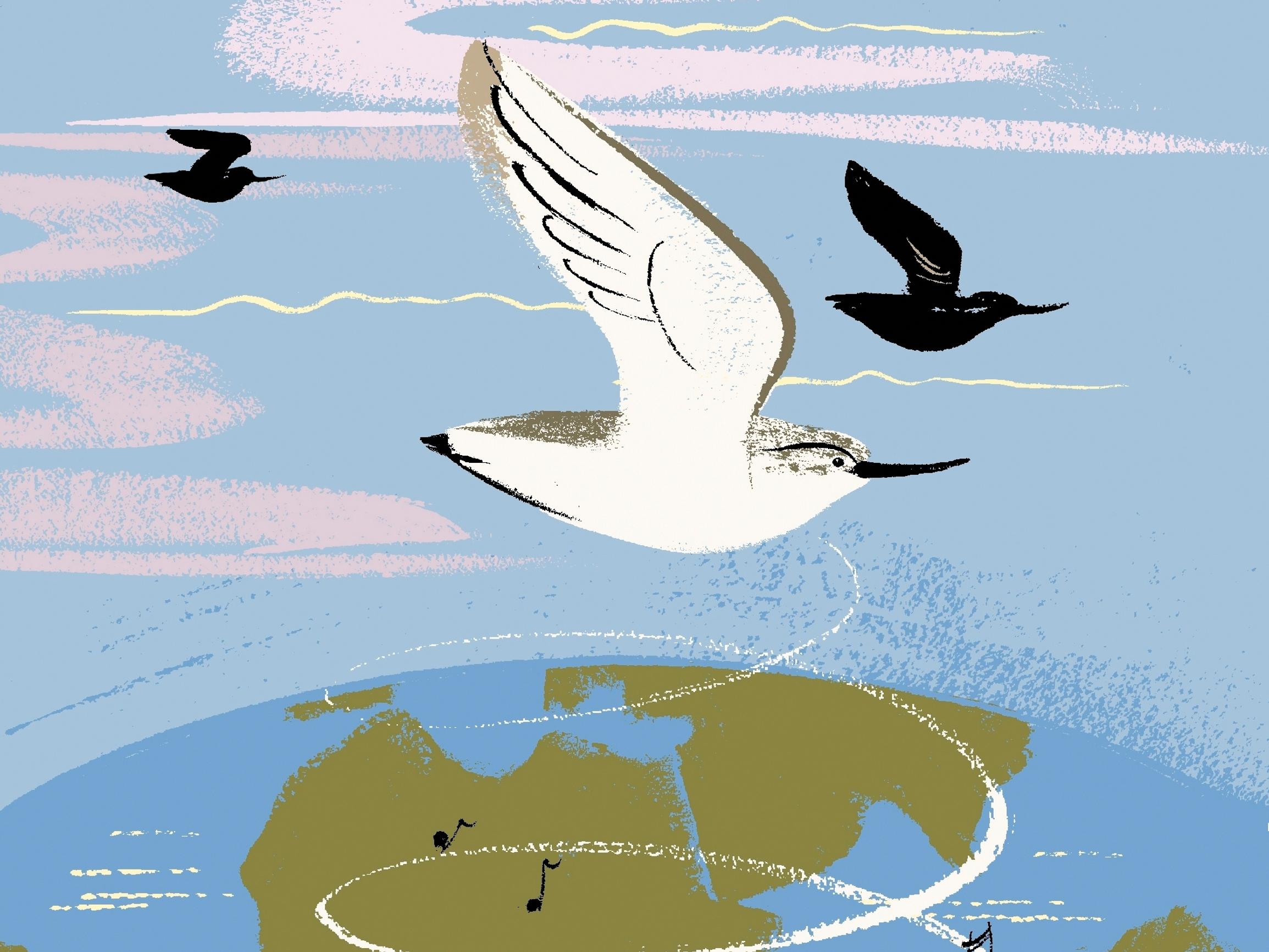 Elämä maapallolla kehittyi kuin Bachin fuuga – Niin syntyi rantakurvi, jonka löysi valistukseen uskonut tutkija