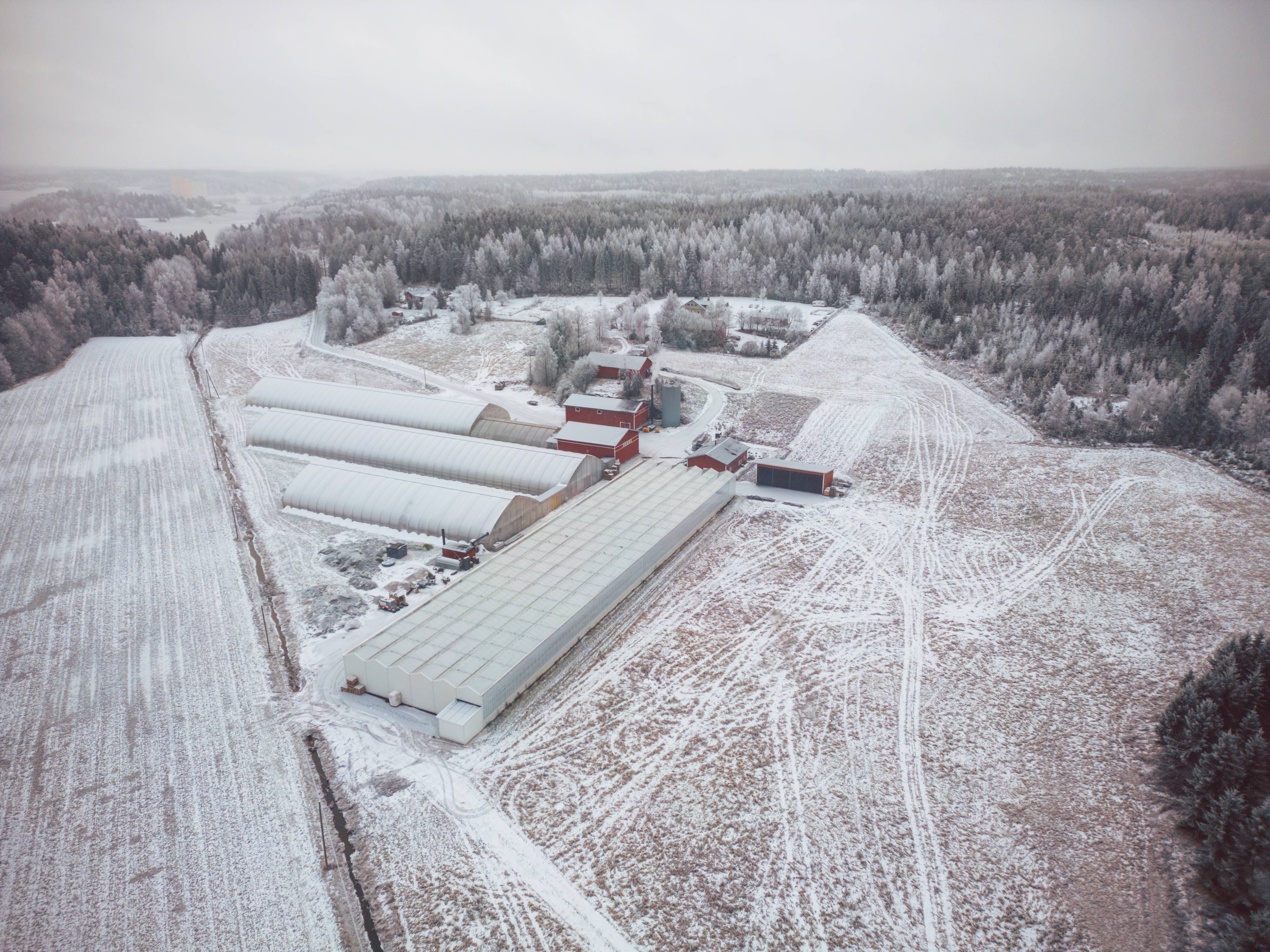 Suomen ensimmäinen luomusalaatti-yritys oli kaatua sähkön hintaan | Apu