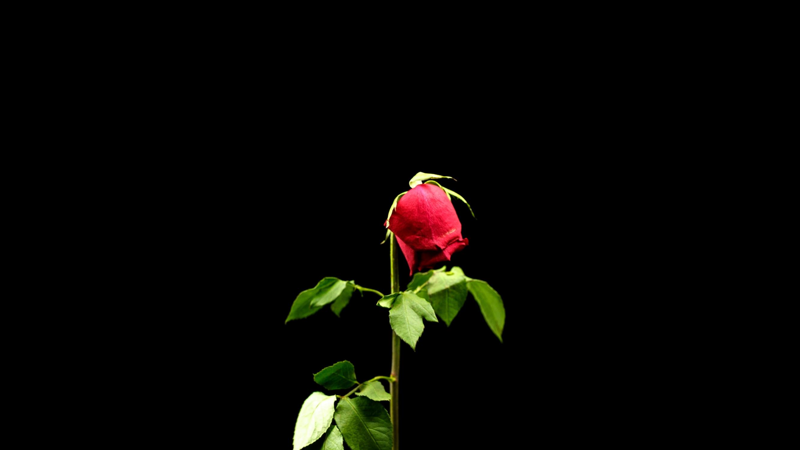 Eutanasia vai saattohoito ja sedaatio? Neljä viidestä suomalaisesta kannattaa kuolinapua, jonka mahdollistavaa lakia yritetään saada eduskunnan päätettäväksi