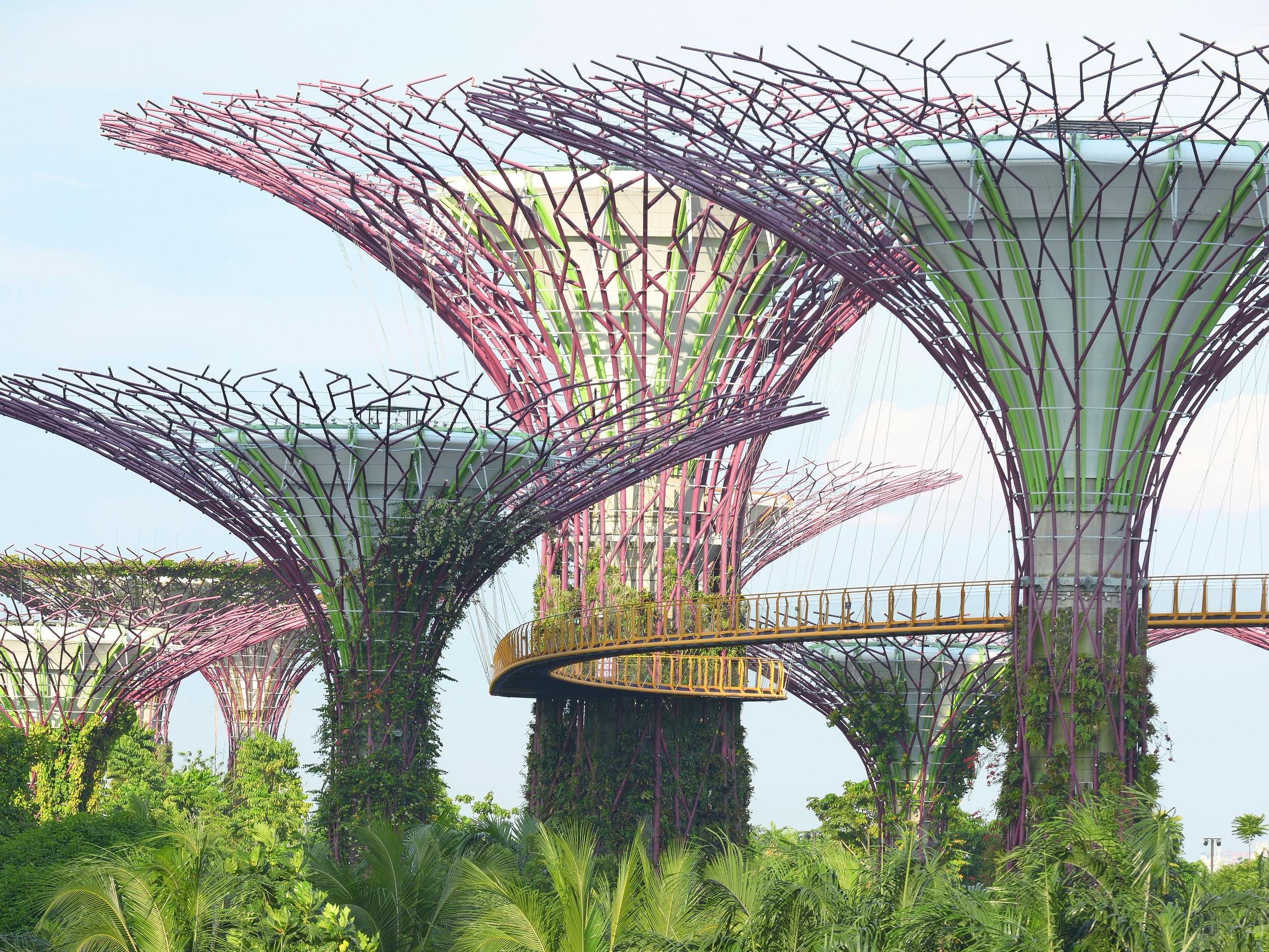 Singapore: 7 syytä matkustaa päiväntasaajan kupeen monipuoliseen metropoliin