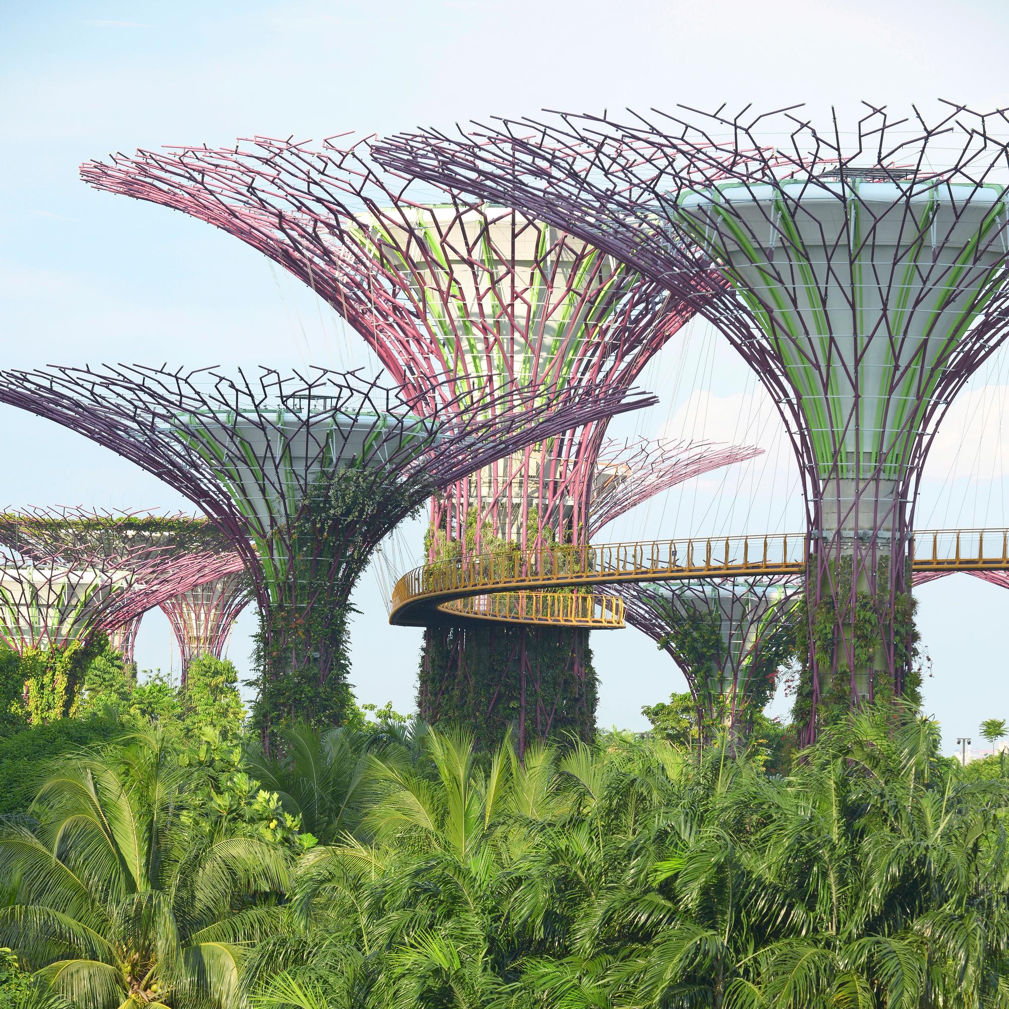 Singapore: 7 syytä matkustaa päiväntasaajan kupeen monipuoliseen metropoliin