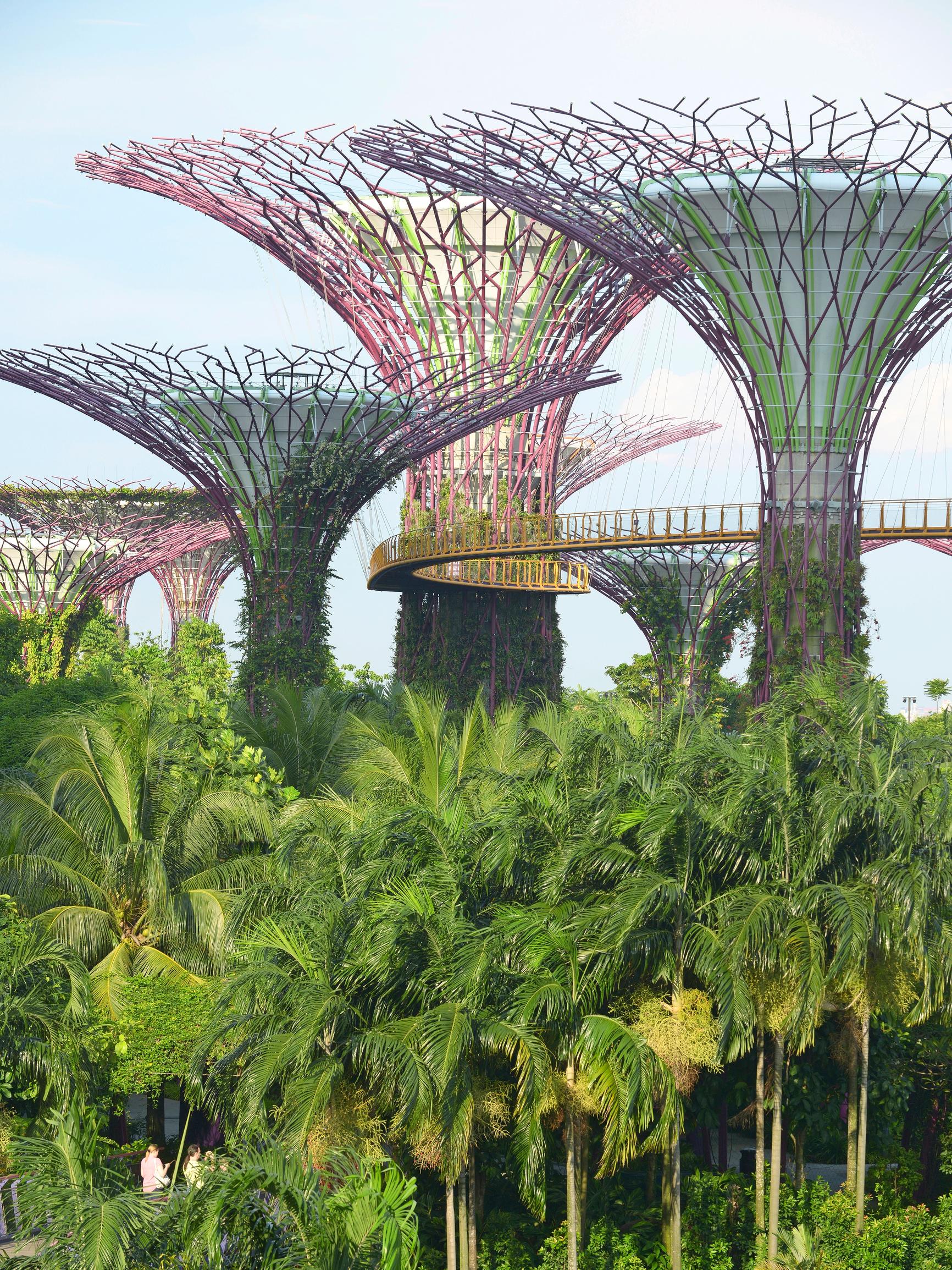 Singapore: 7 syytä matkustaa päiväntasaajan kupeen monipuoliseen metropoliin