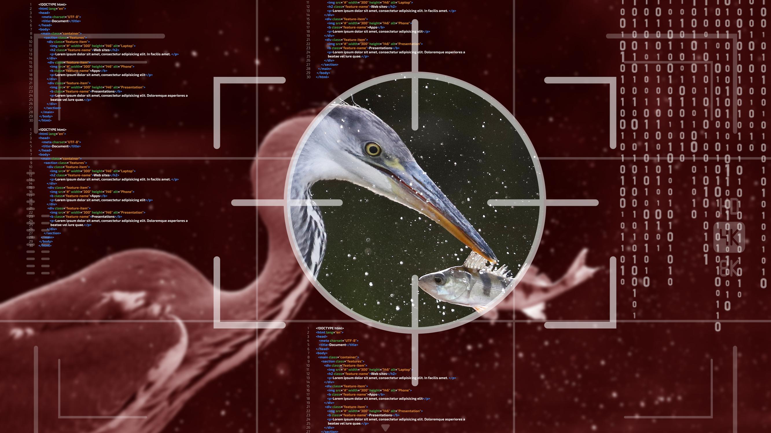 Katsoin lintua ja aloin ajatella tekoälyä – Olemmeko jo antaneet kielimalleille jotain, joka tekisi meille ihmisille hyvää?