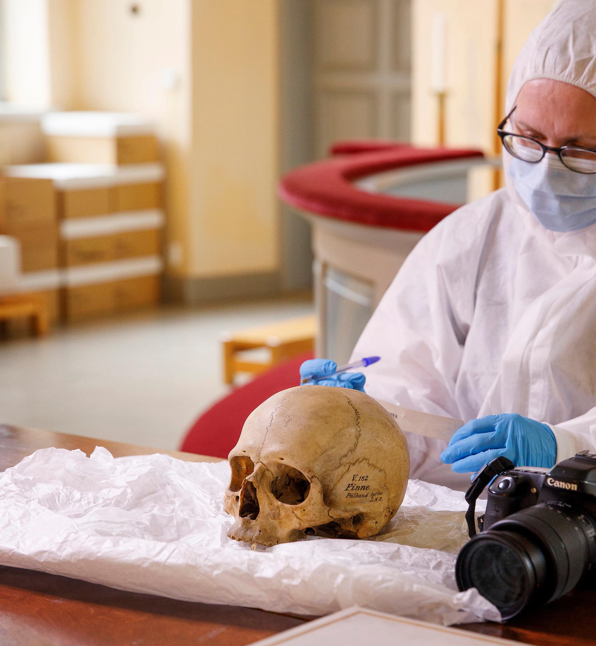 Ruotsi palautti vihdoin Suomesta viedyt pääkallot – Nyt virkamiehet haluavat haudata kallot kiireellä, vaikka tutkimukset ovat kesken