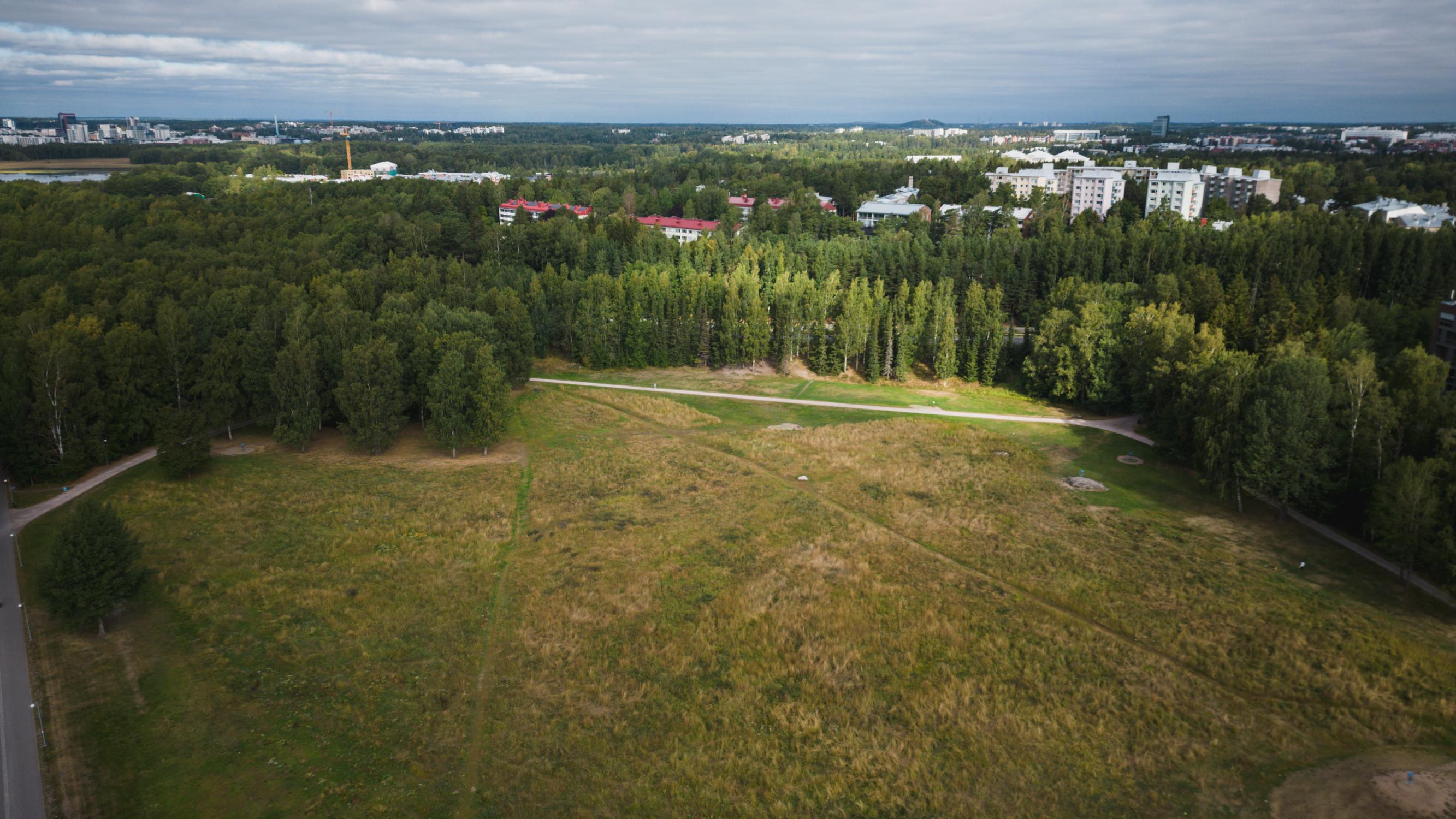 Kuivuus Helsingissä: Ilmastonmuutoksen myötä kasvitaudit ja tuholaiset voivat levitä yhä laajemmalle alueelle.