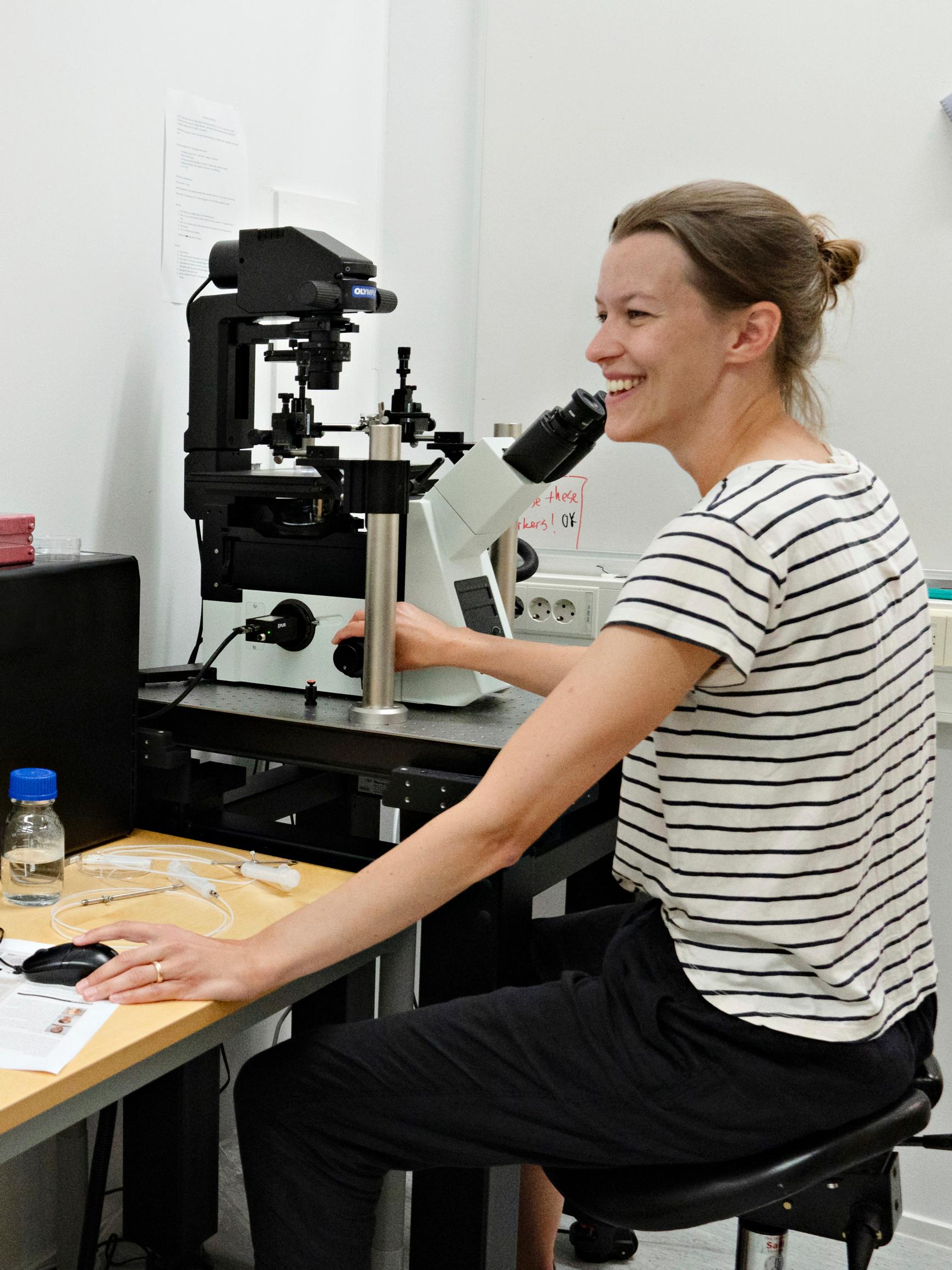 Suomessa etsitään meriapinoiden uintityylistä apua nieltävien robottien valmistamiseen