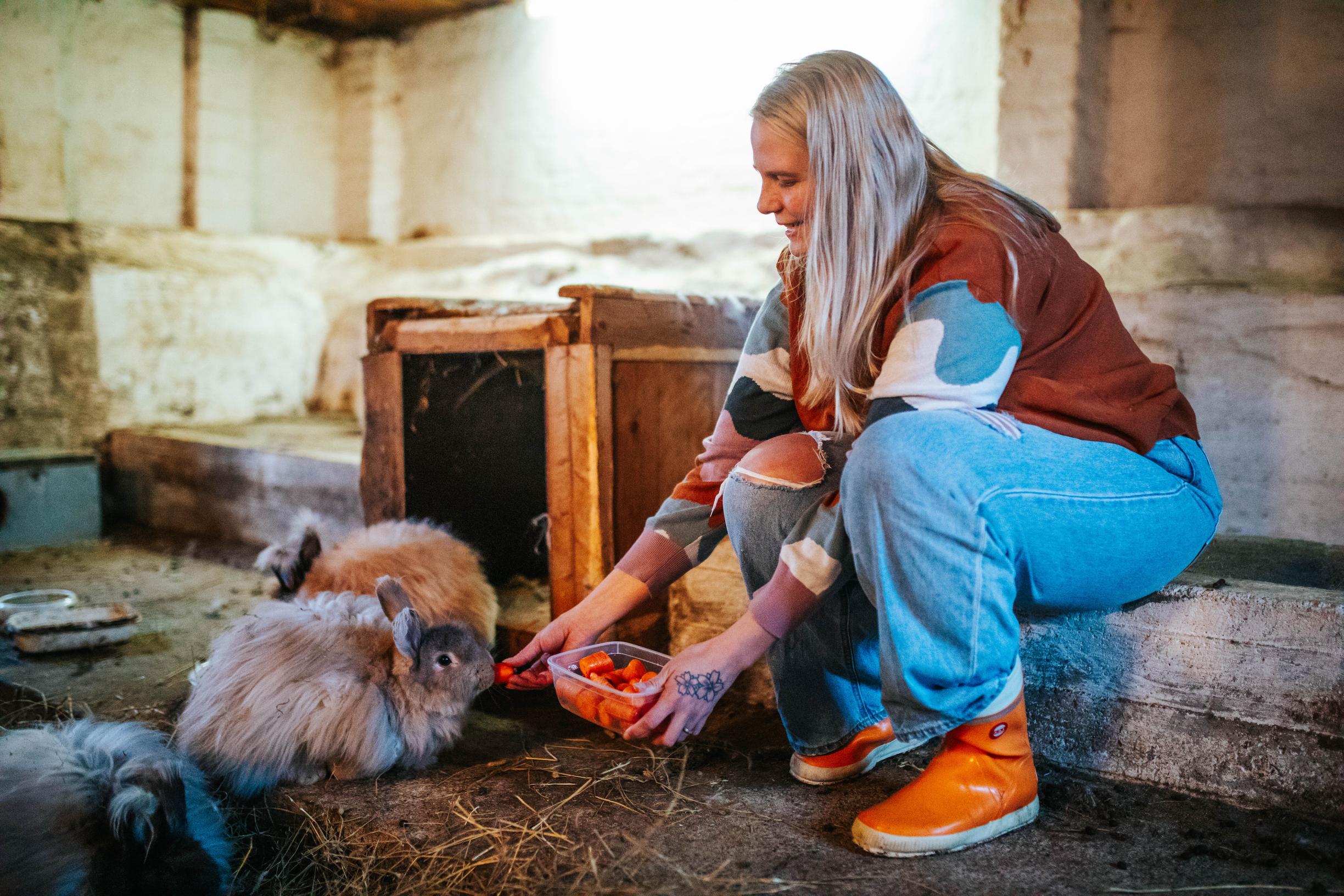 Lankaa lemmikin karvasta voi tehdä myös, jos karvakaveri on kani. Mona Tiirikaisella on seitsemän angorakania.