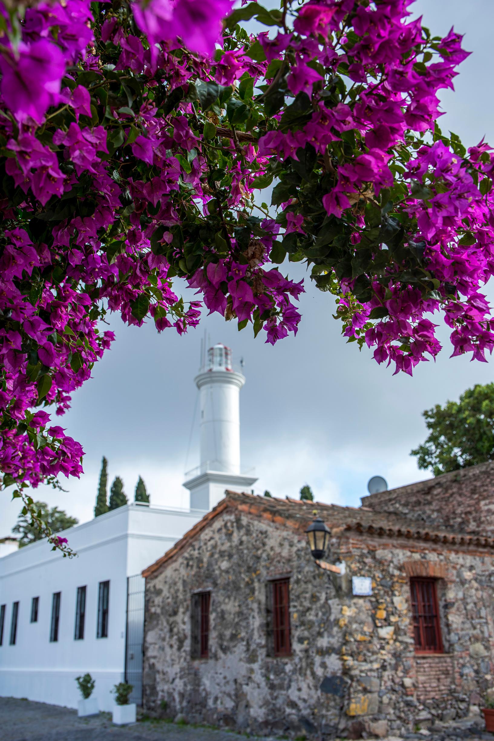 Uruguayn postikortinkaunis Colonia del Sacramenton kaupunki majakoineen on myös argentiinalaisten viikonloppukohde: sinne pääsee lautalla Buenos Airesista.