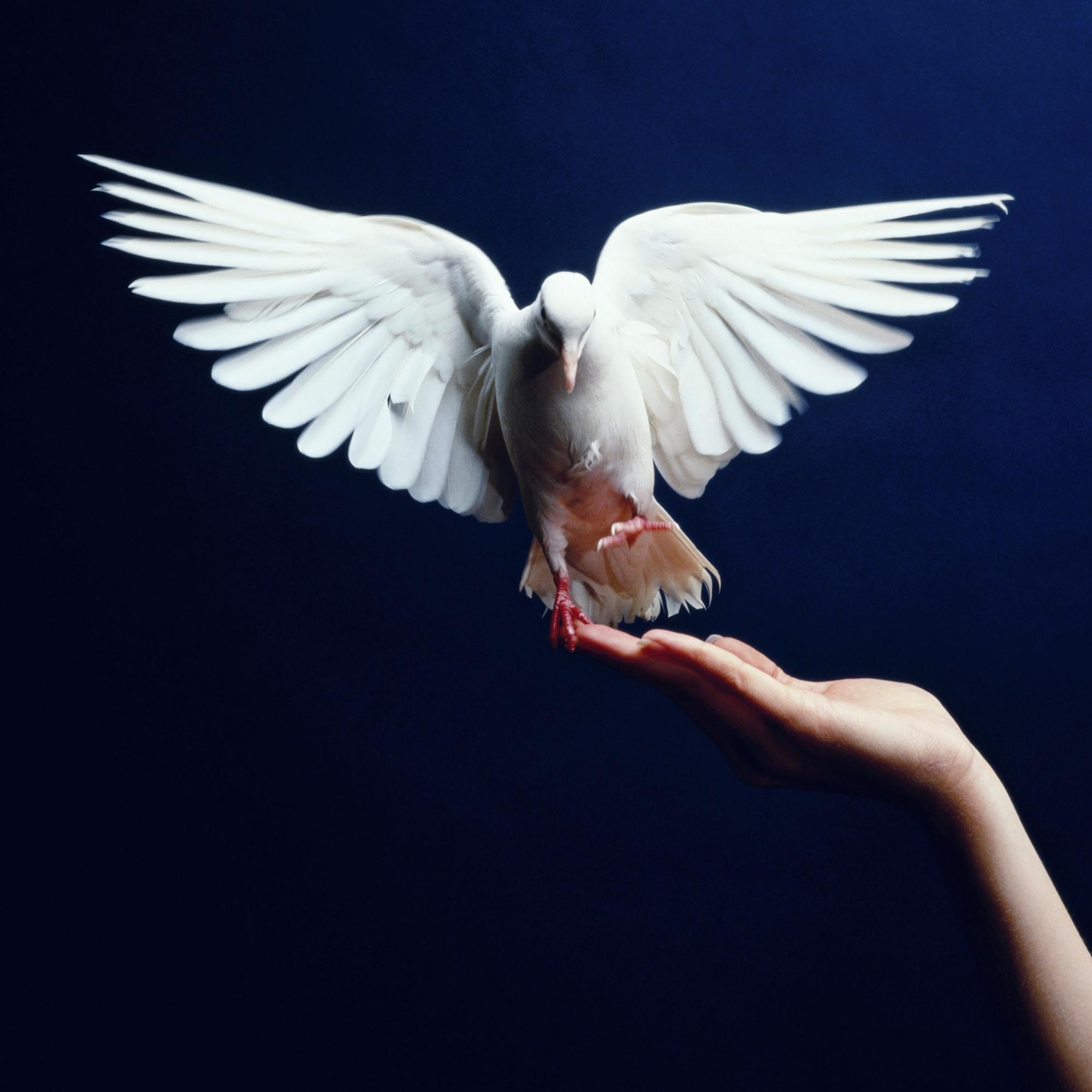 Iän myötä on sanottava hyvästit niin ajokortille, harrastuksille kuin rakkaillekin – Voiko luopumista opetella?