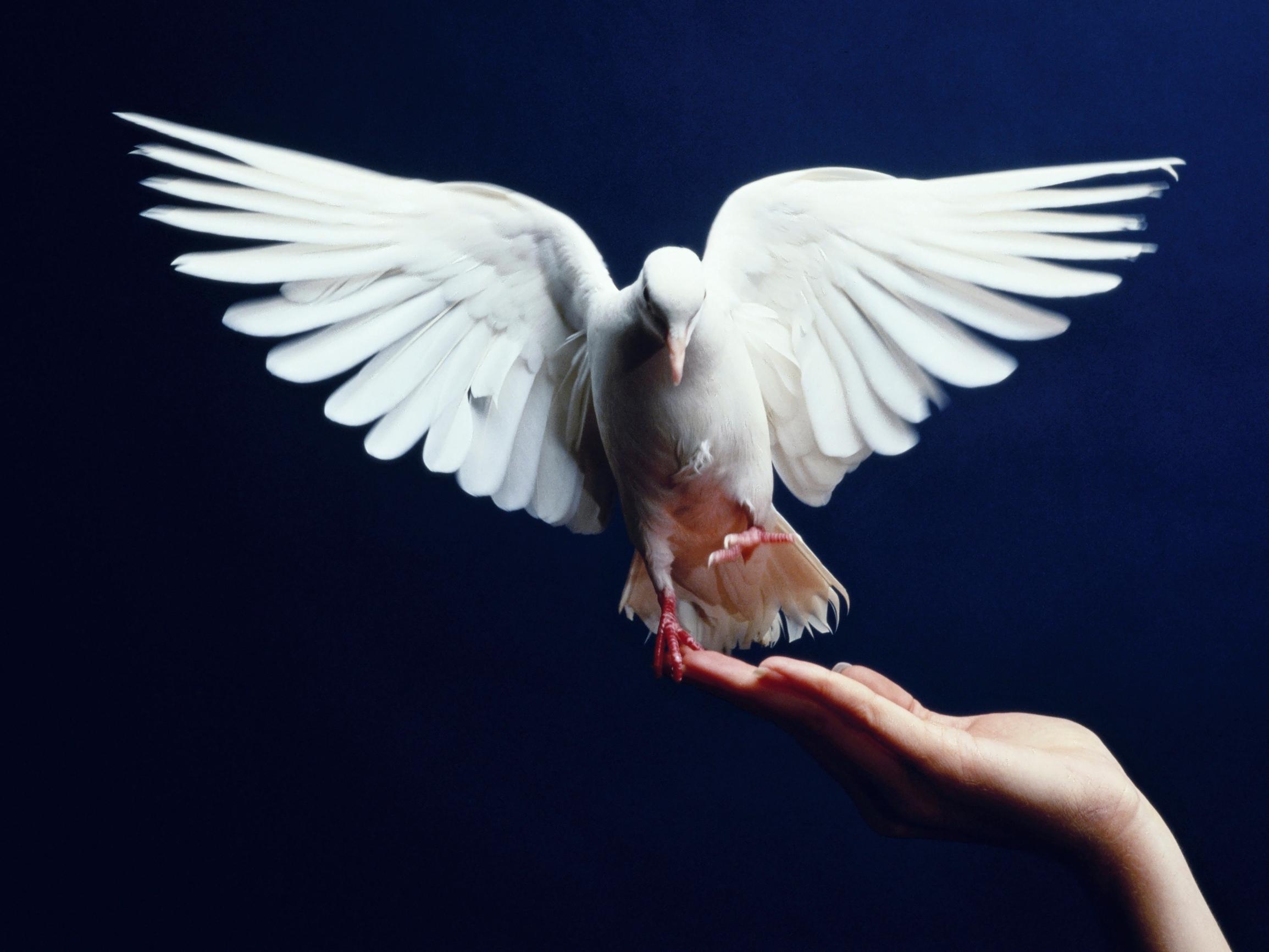 Iän myötä on sanottava hyvästit niin ajokortille, harrastuksille kuin rakkaillekin – Voiko luopumista opetella?