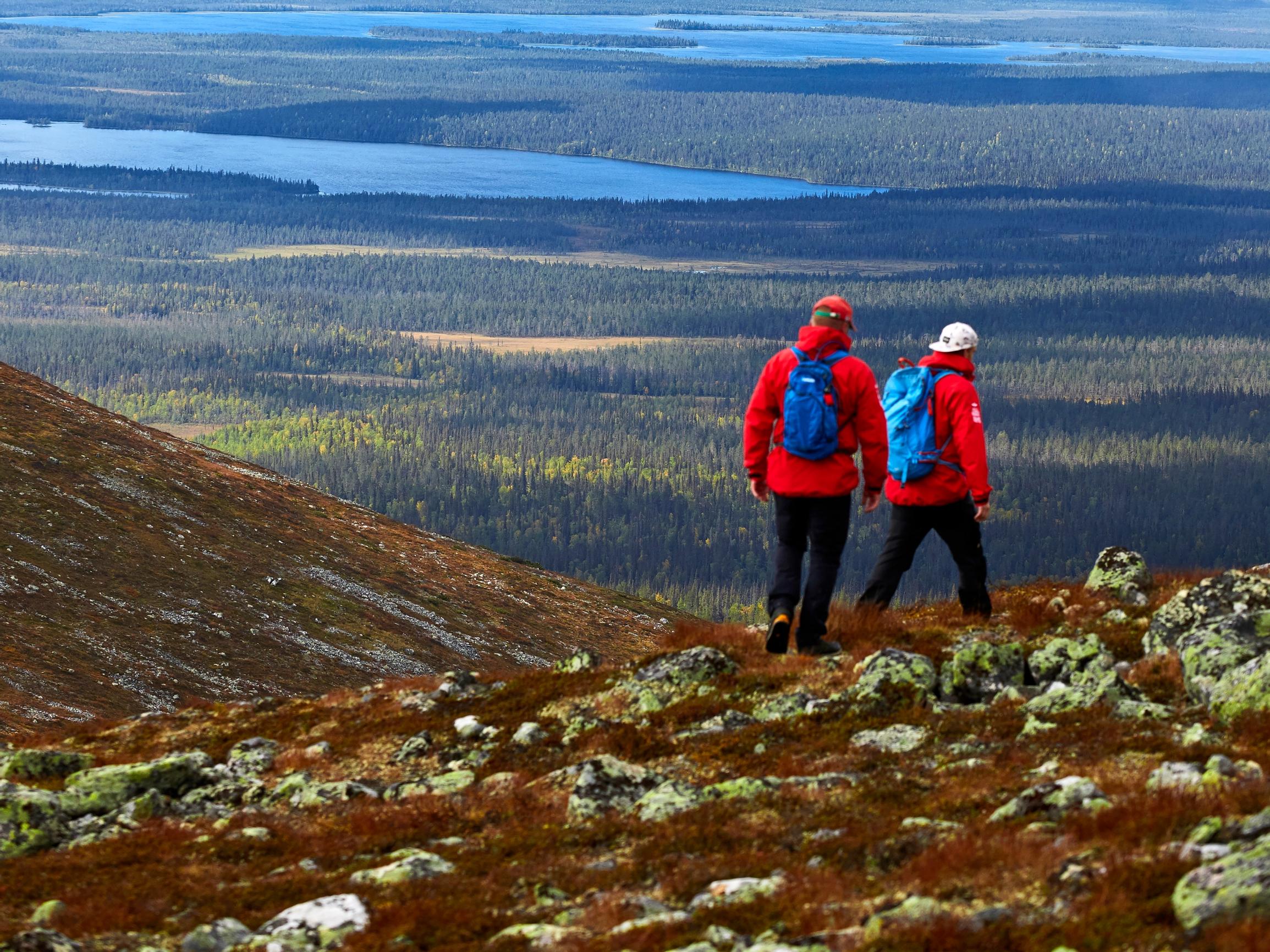 Miten kakkaan luonnossa, kun hotelli helpotukseen on liikaa matkaa? Hätä ei ole tämän näköinen – kakka kuoppaan ja kivi päälle